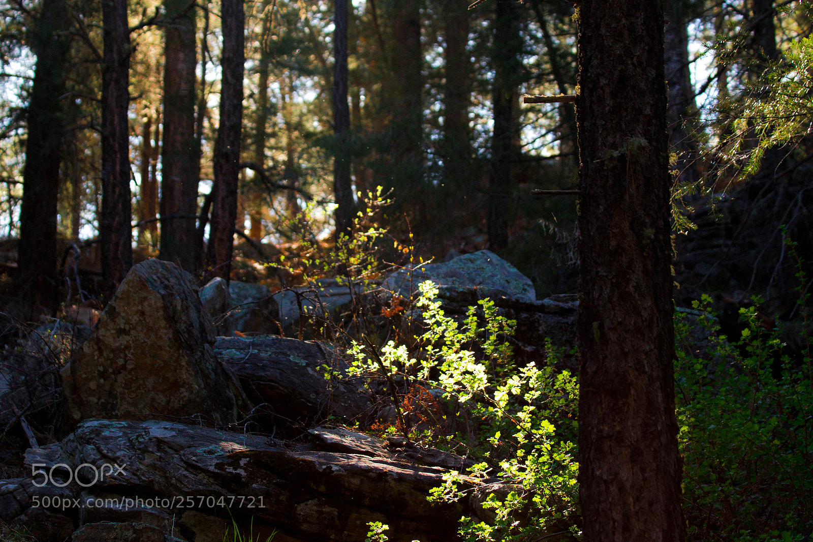 Canon EOS 70D sample photo. A mountain ray photography