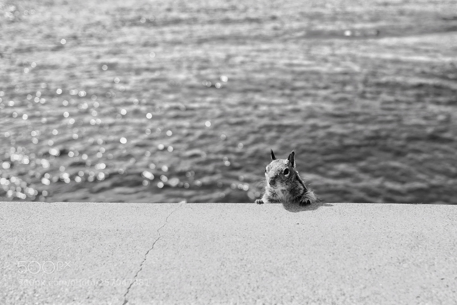 Fujifilm X-E3 sample photo. Curious little one photography