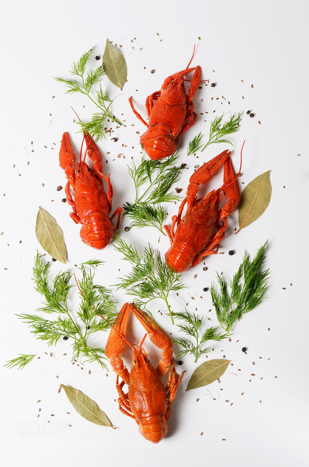 Nikon D7000 sample photo. Seafood dish, red boiled photography
