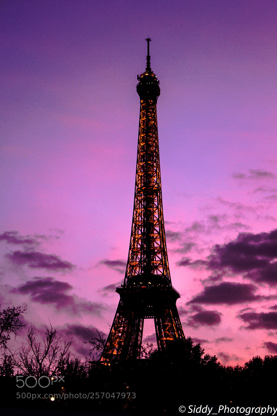 Canon EOS 550D (EOS Rebel T2i / EOS Kiss X4) sample photo. Pink effiel tower purple photography