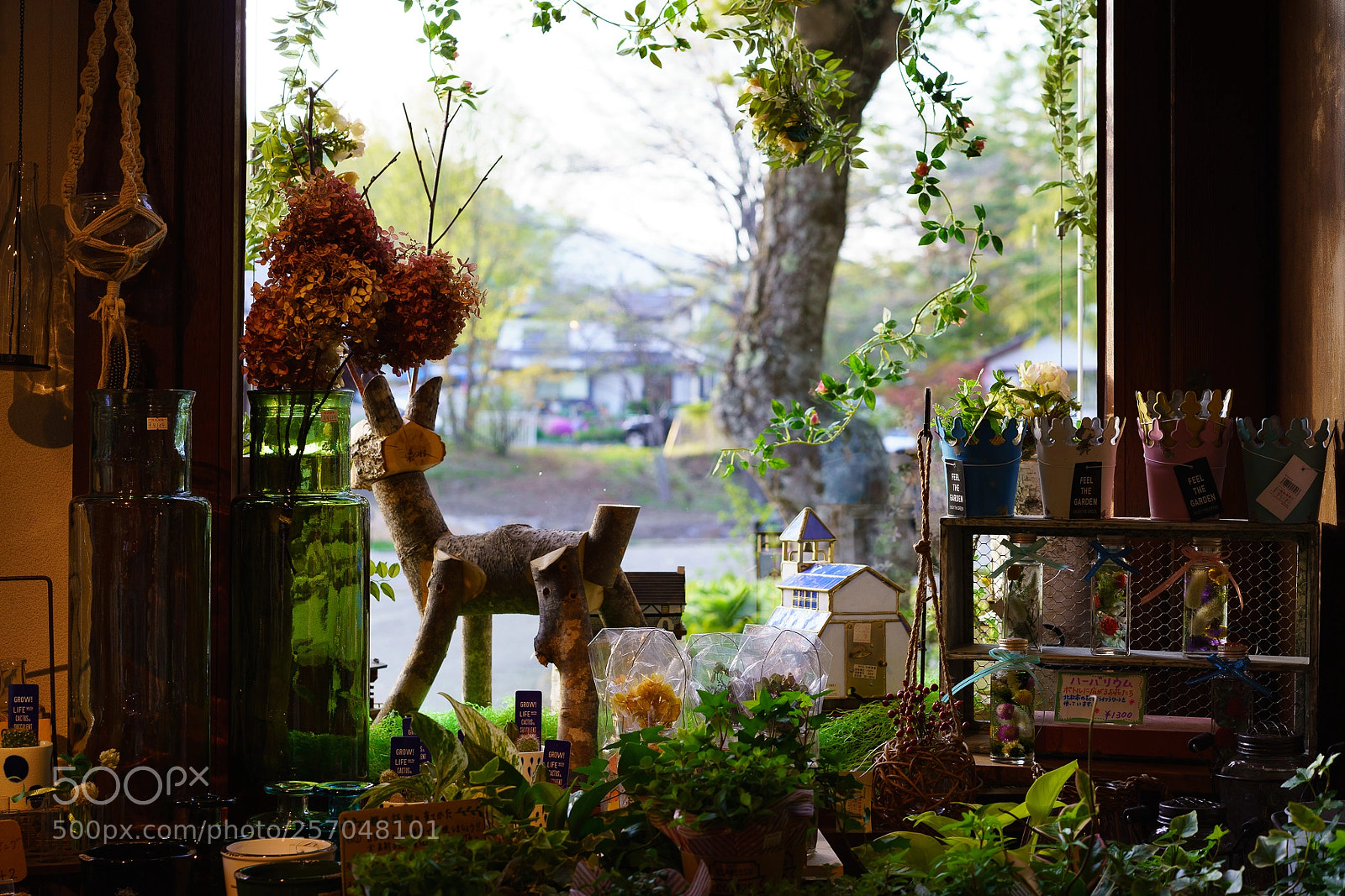 Sony a7R III sample photo. In kiyosato (1) photography