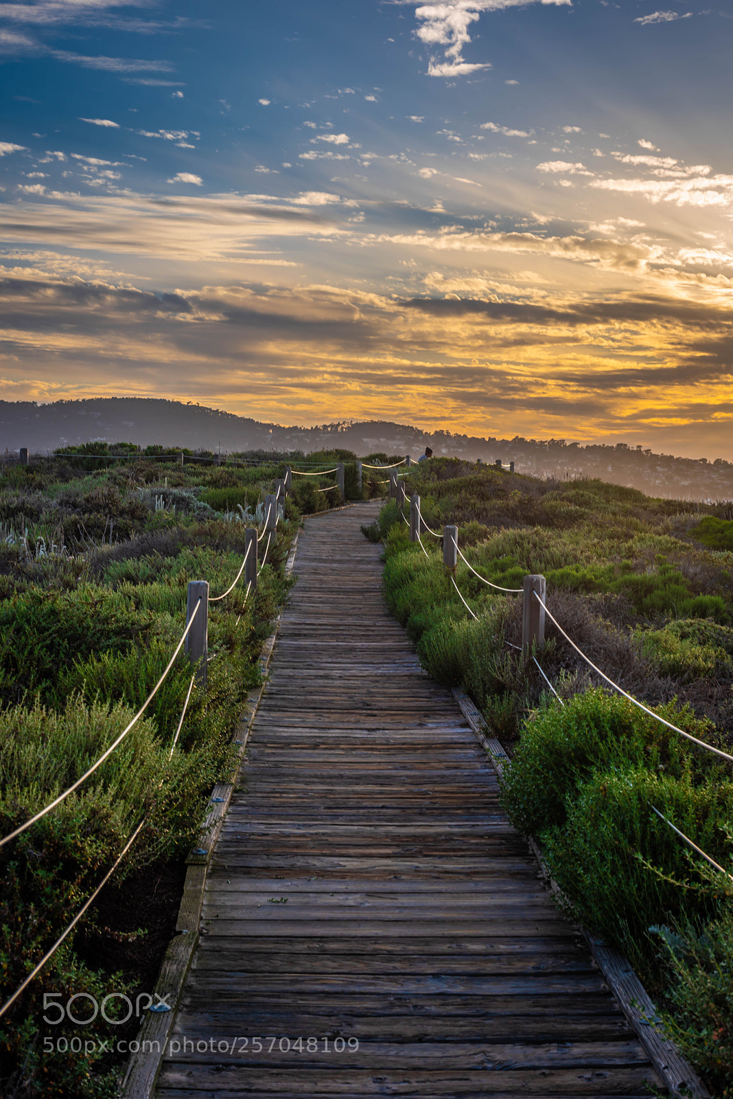 Nikon D810 sample photo. Path to enlightenment photography
