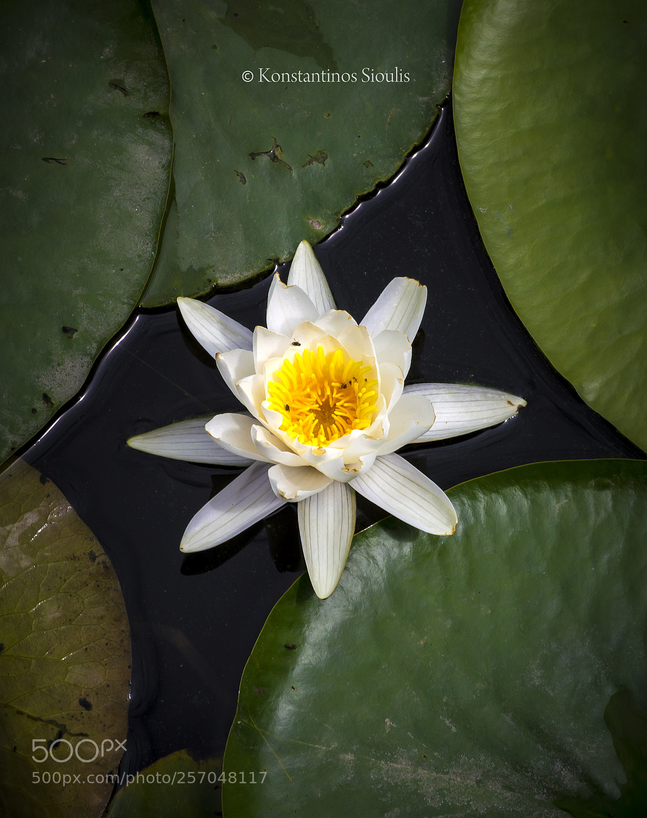 Nikon D3200 sample photo. Untitled photography