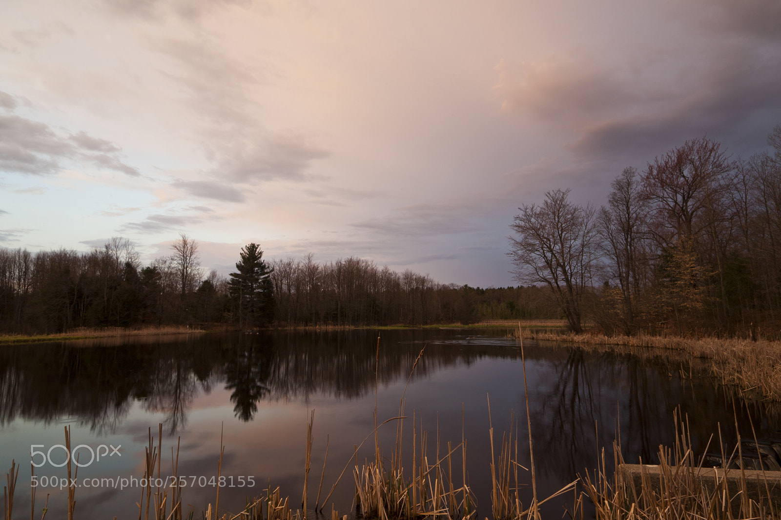 Canon EOS 5D Mark II sample photo. Early morning at gales photography