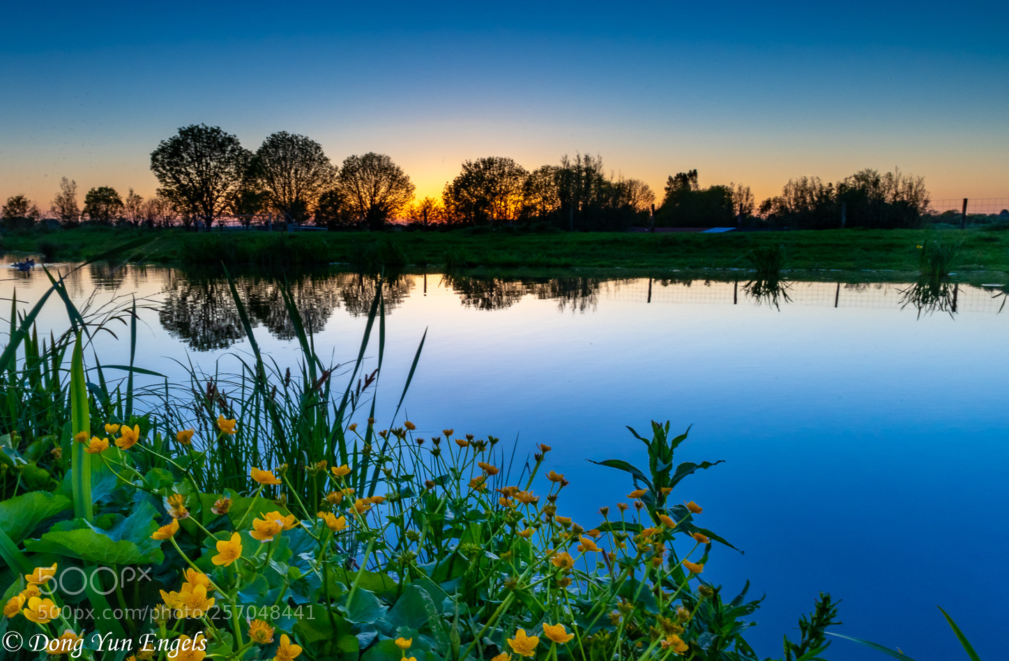 Nikon D750 sample photo. Colours of spring photography
