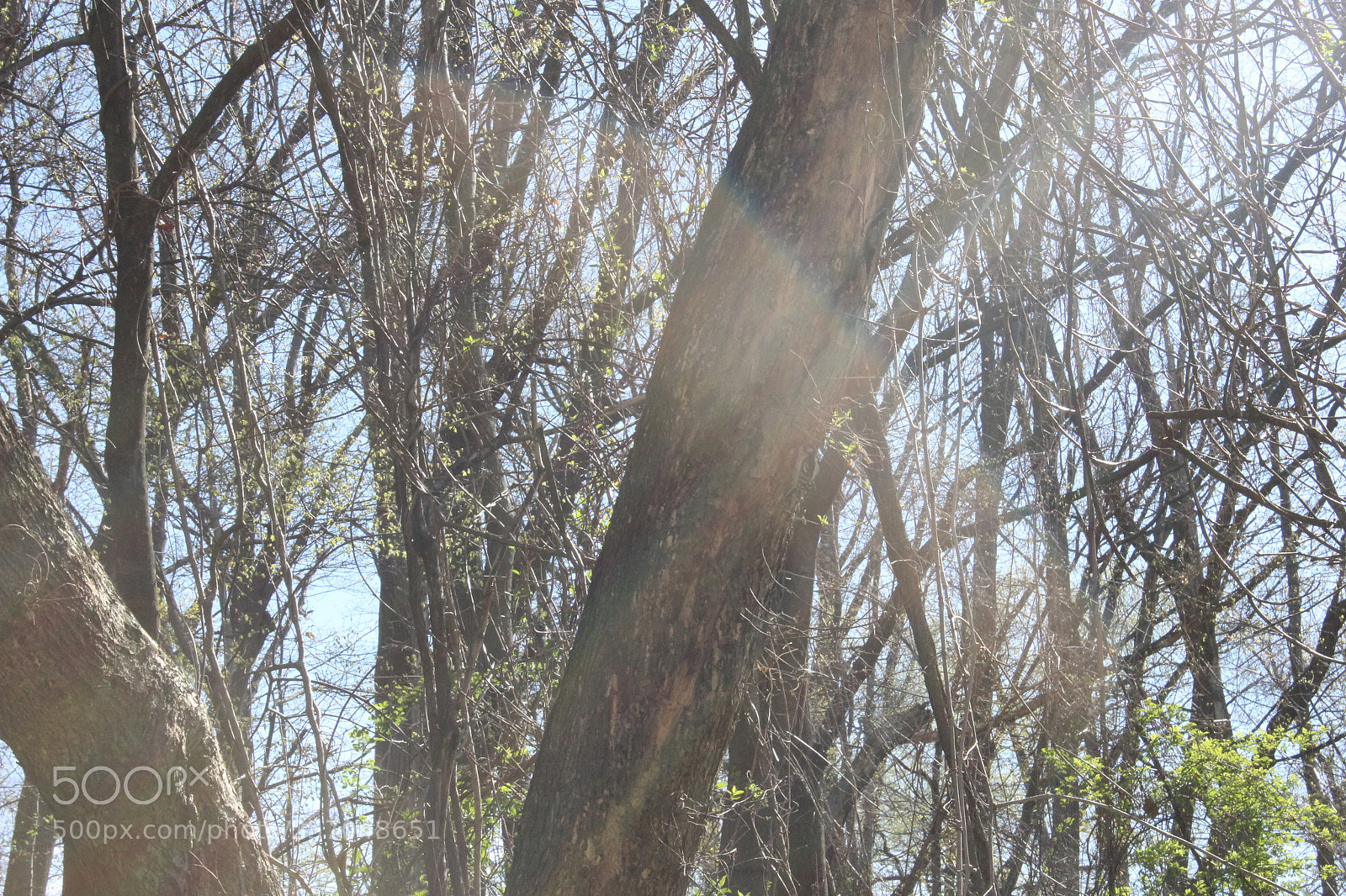 Canon EOS 1200D (EOS Rebel T5 / EOS Kiss X70 / EOS Hi) sample photo. Img photography