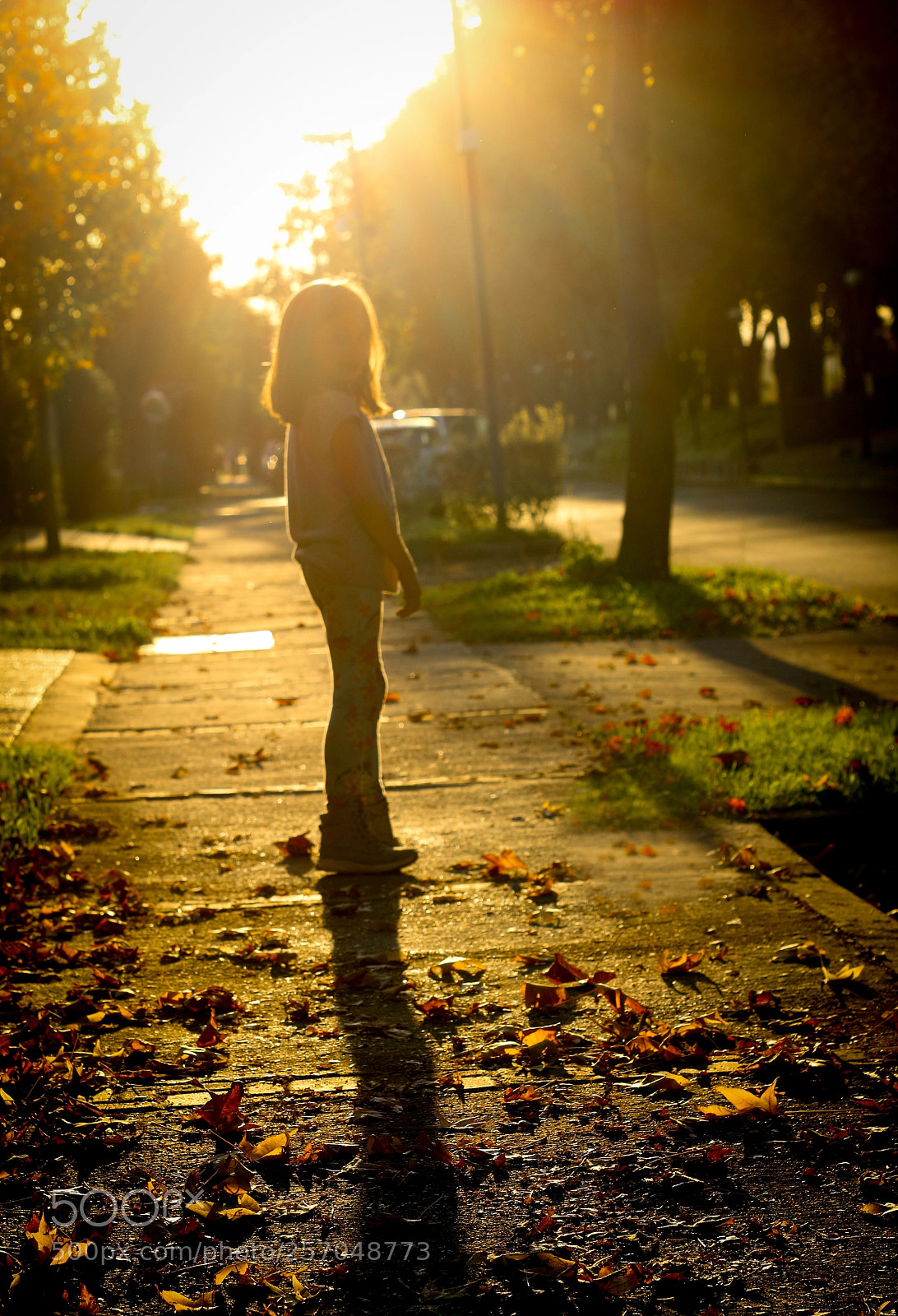Canon EOS 70D sample photo. Little giant photography