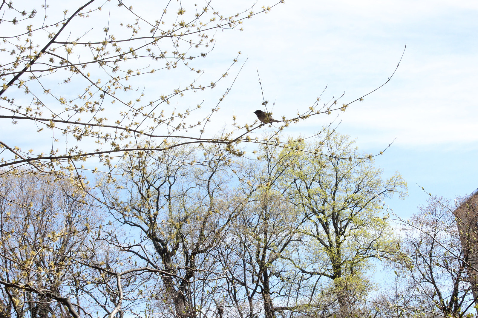 Canon EOS 1200D (EOS Rebel T5 / EOS Kiss X70 / EOS Hi) sample photo. Img photography