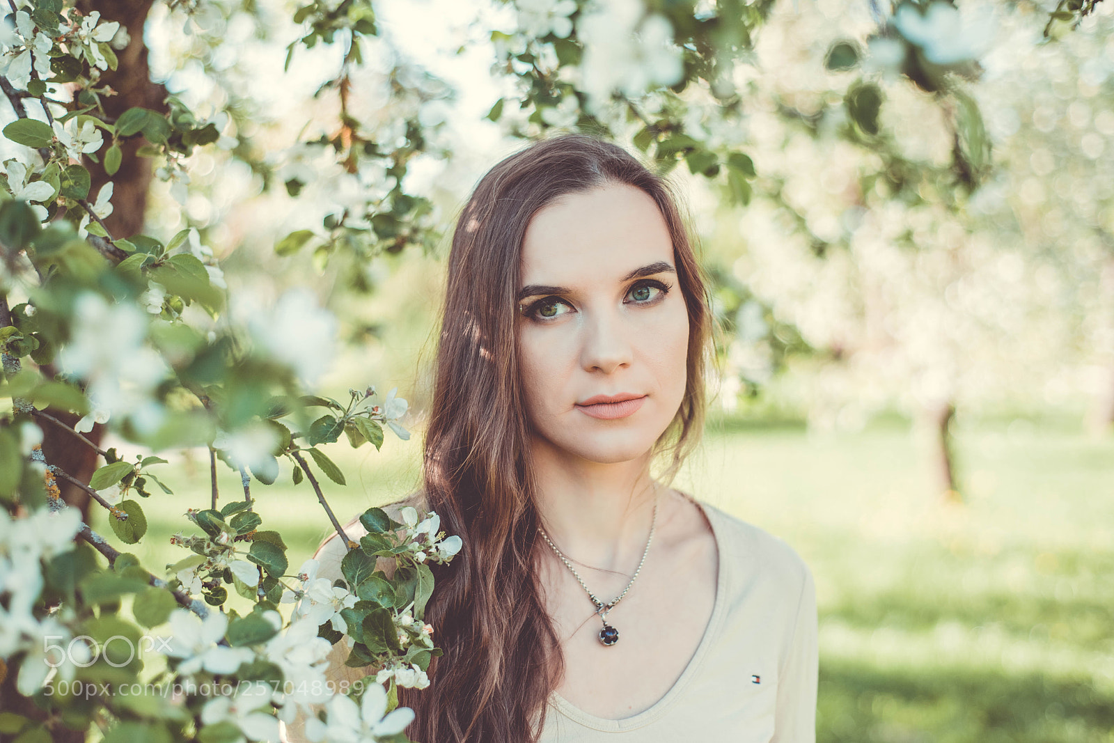 Nikon D750 sample photo. Spring photography
