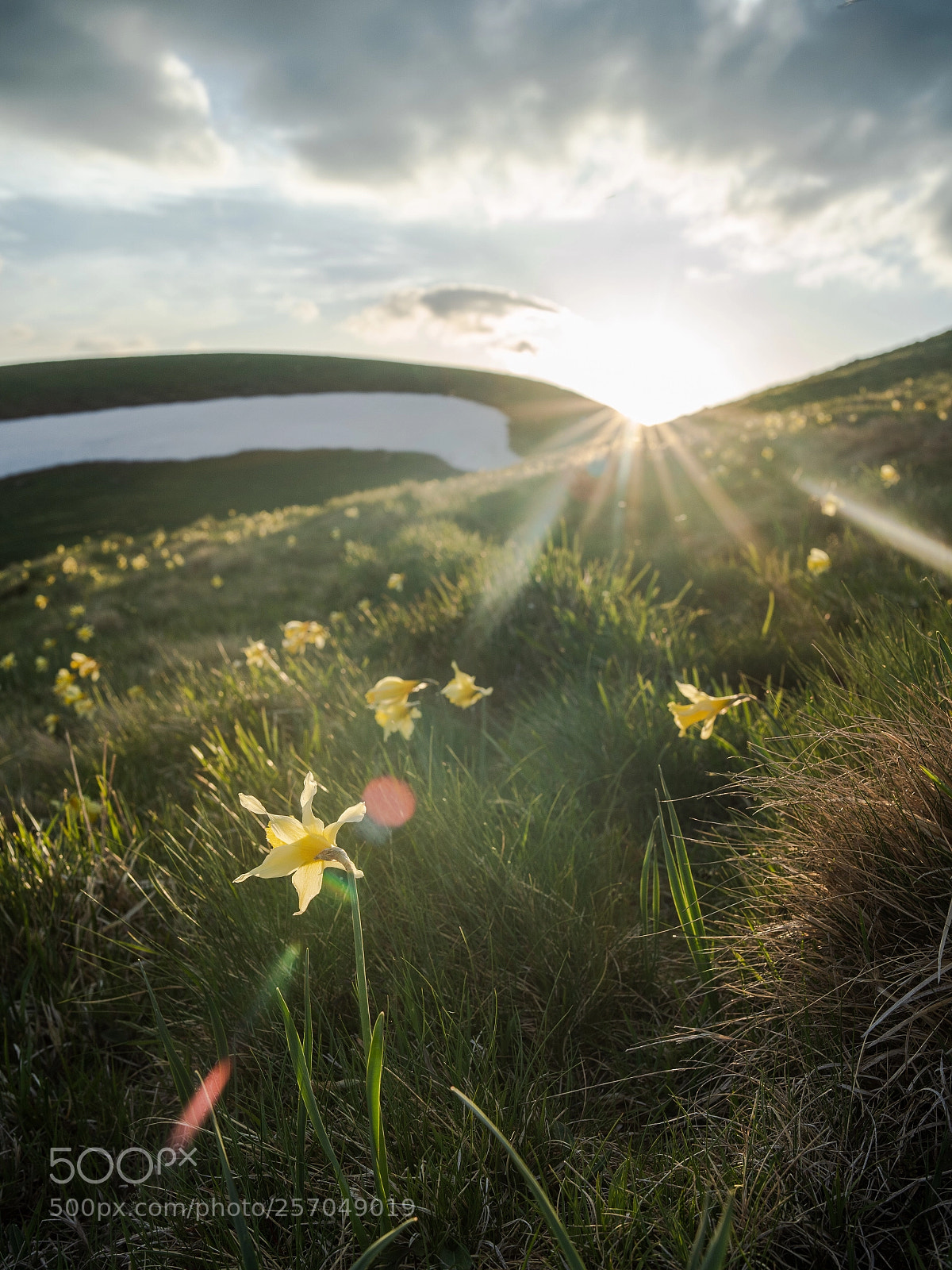 Sony a7 III sample photo. Sun photography