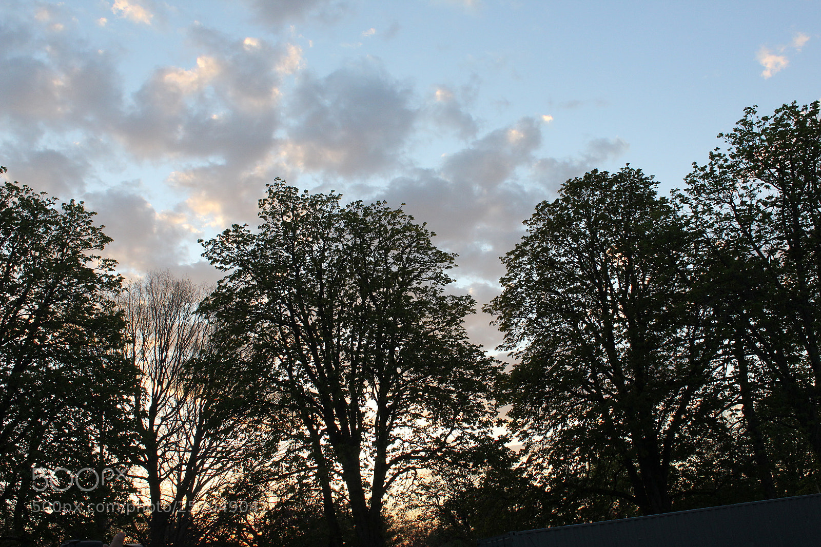 Canon EOS 1200D (EOS Rebel T5 / EOS Kiss X70 / EOS Hi) sample photo. Img photography