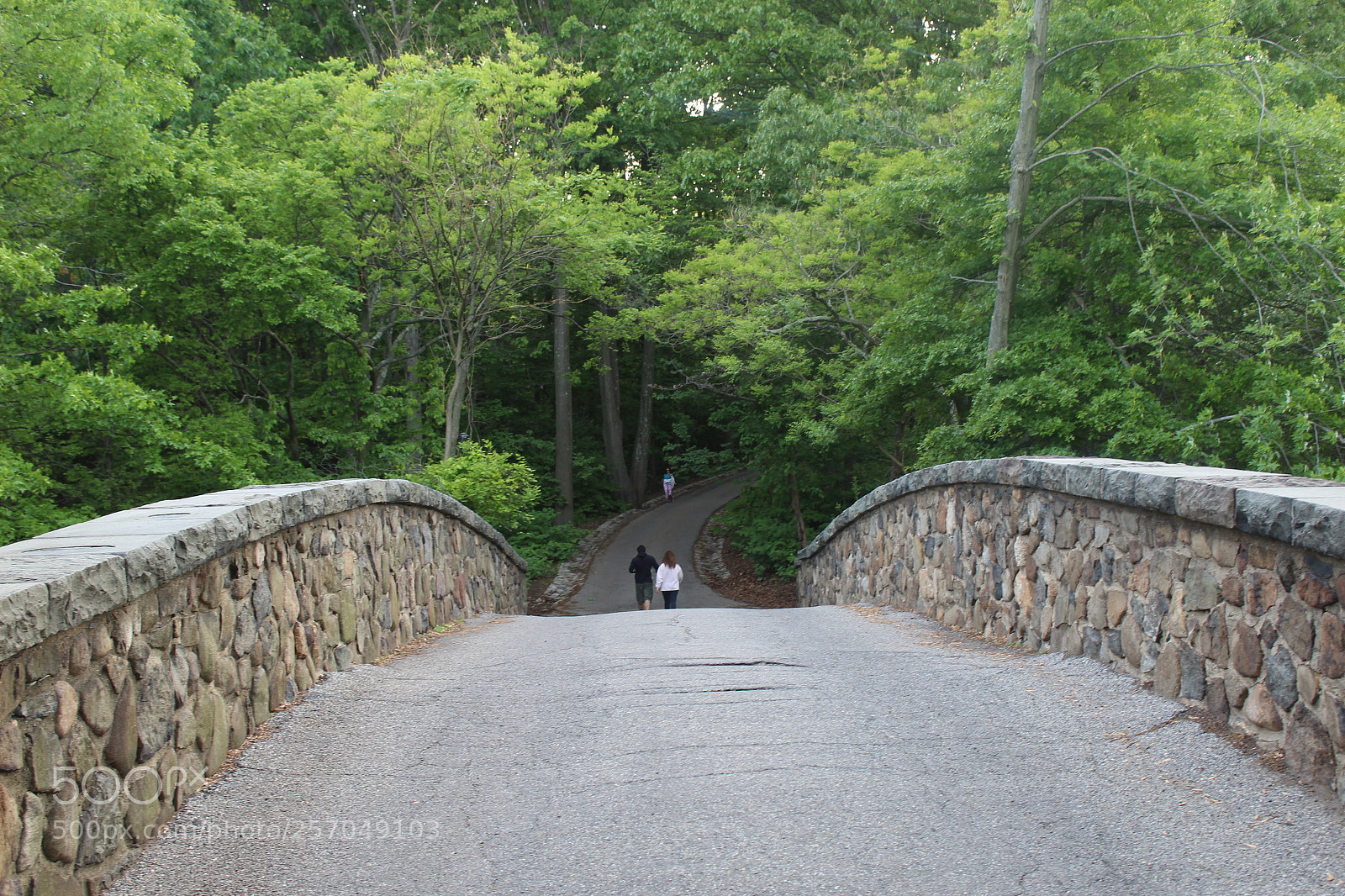 Canon EOS 1200D (EOS Rebel T5 / EOS Kiss X70 / EOS Hi) sample photo. Img photography