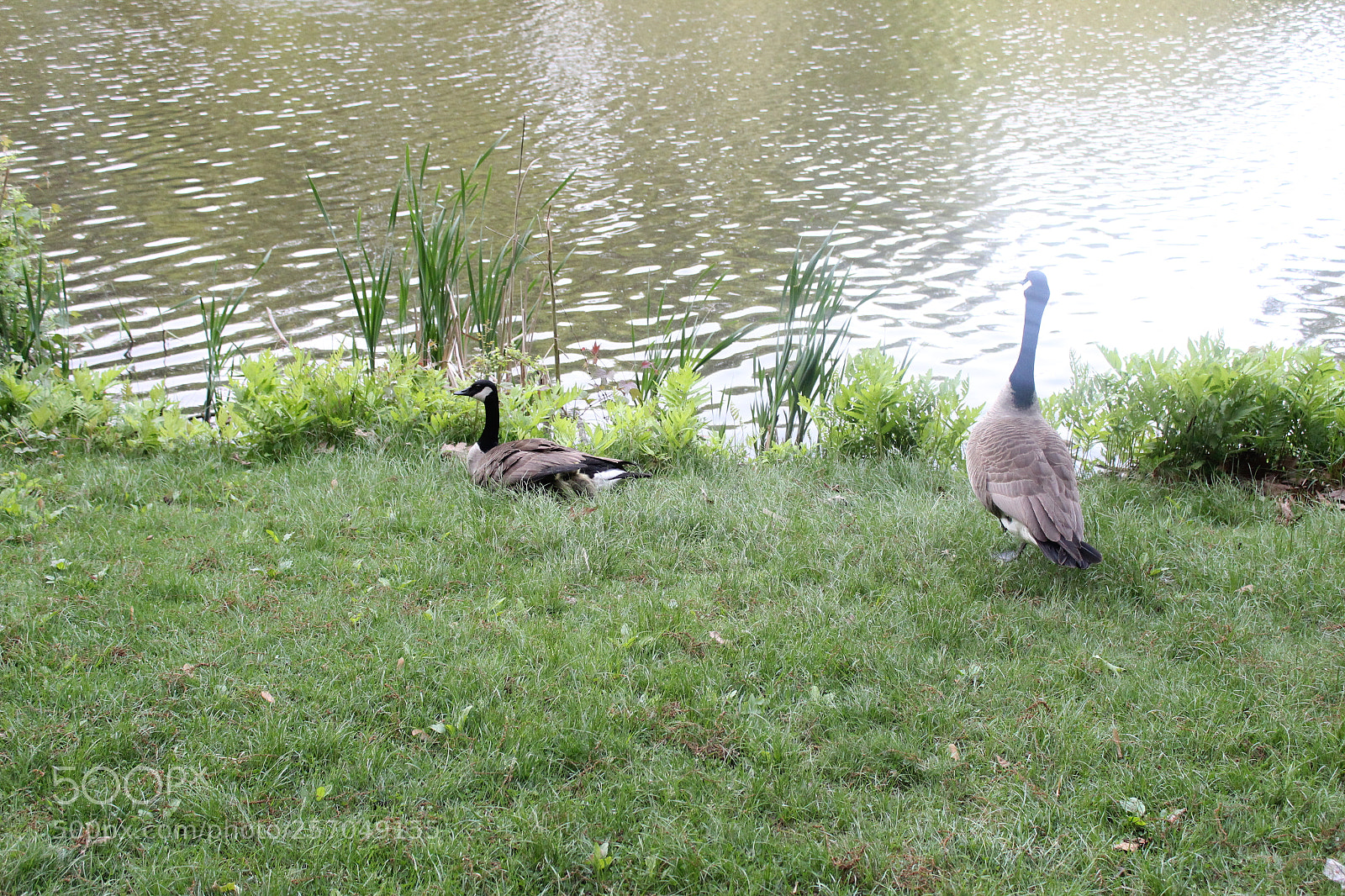Canon EOS 1200D (EOS Rebel T5 / EOS Kiss X70 / EOS Hi) sample photo. Img photography