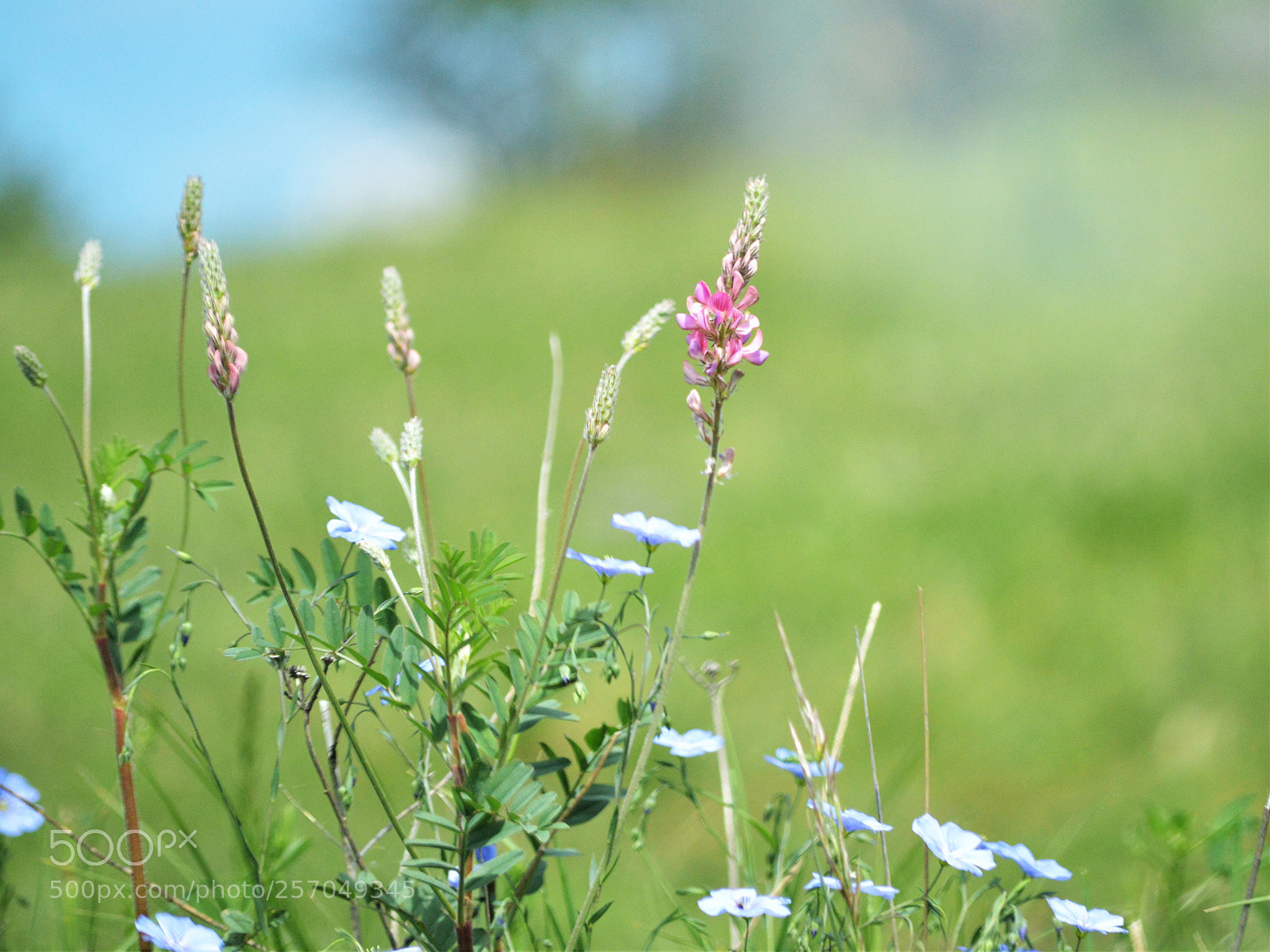 Nikon D3200 sample photo. Untitled photography