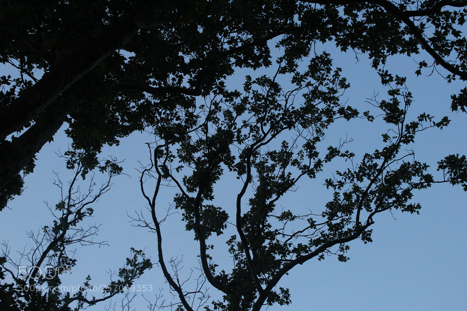 Canon EOS 1200D (EOS Rebel T5 / EOS Kiss X70 / EOS Hi) sample photo. Img photography