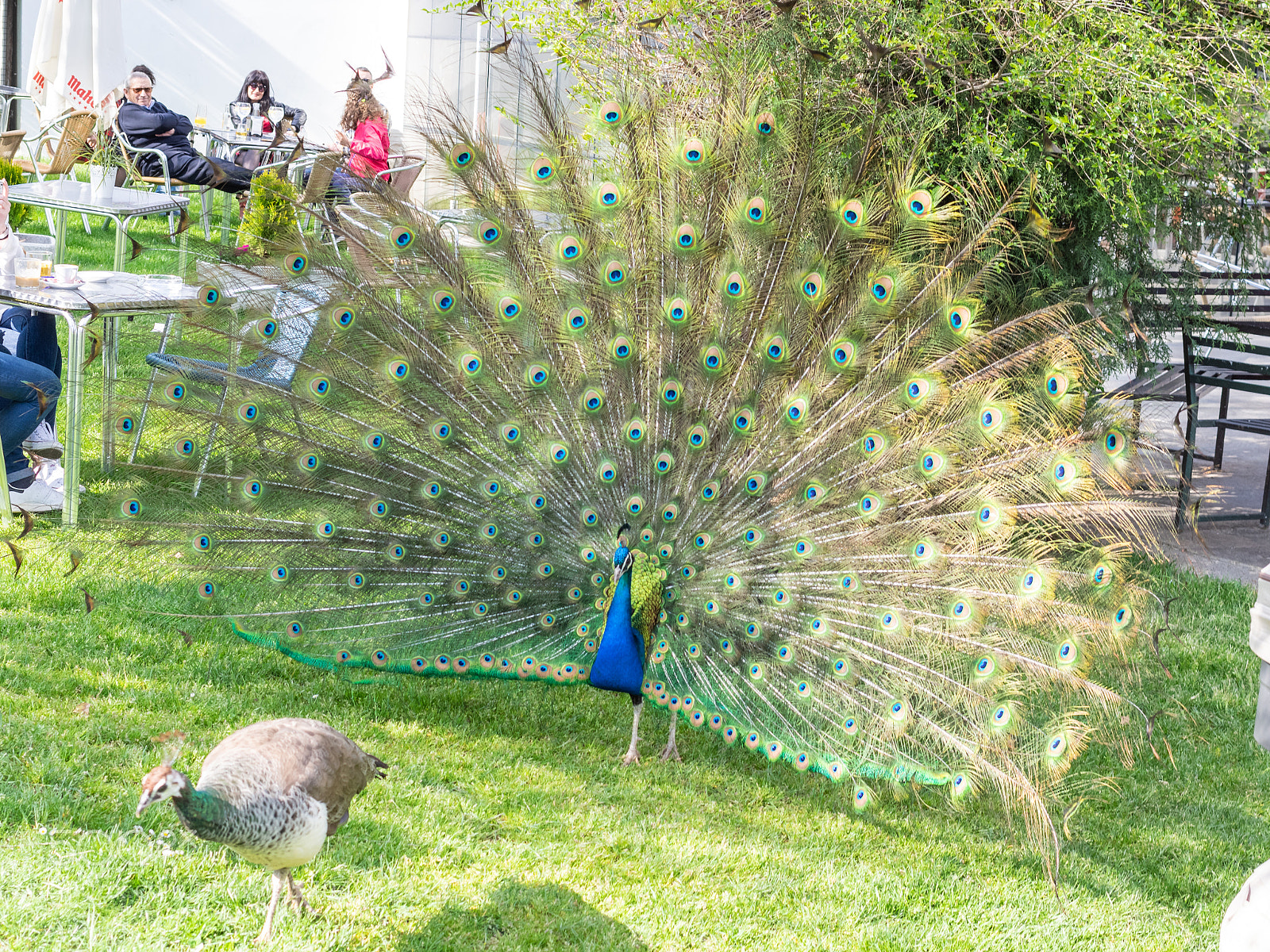 Pentax K-3 II sample photo. No way photography