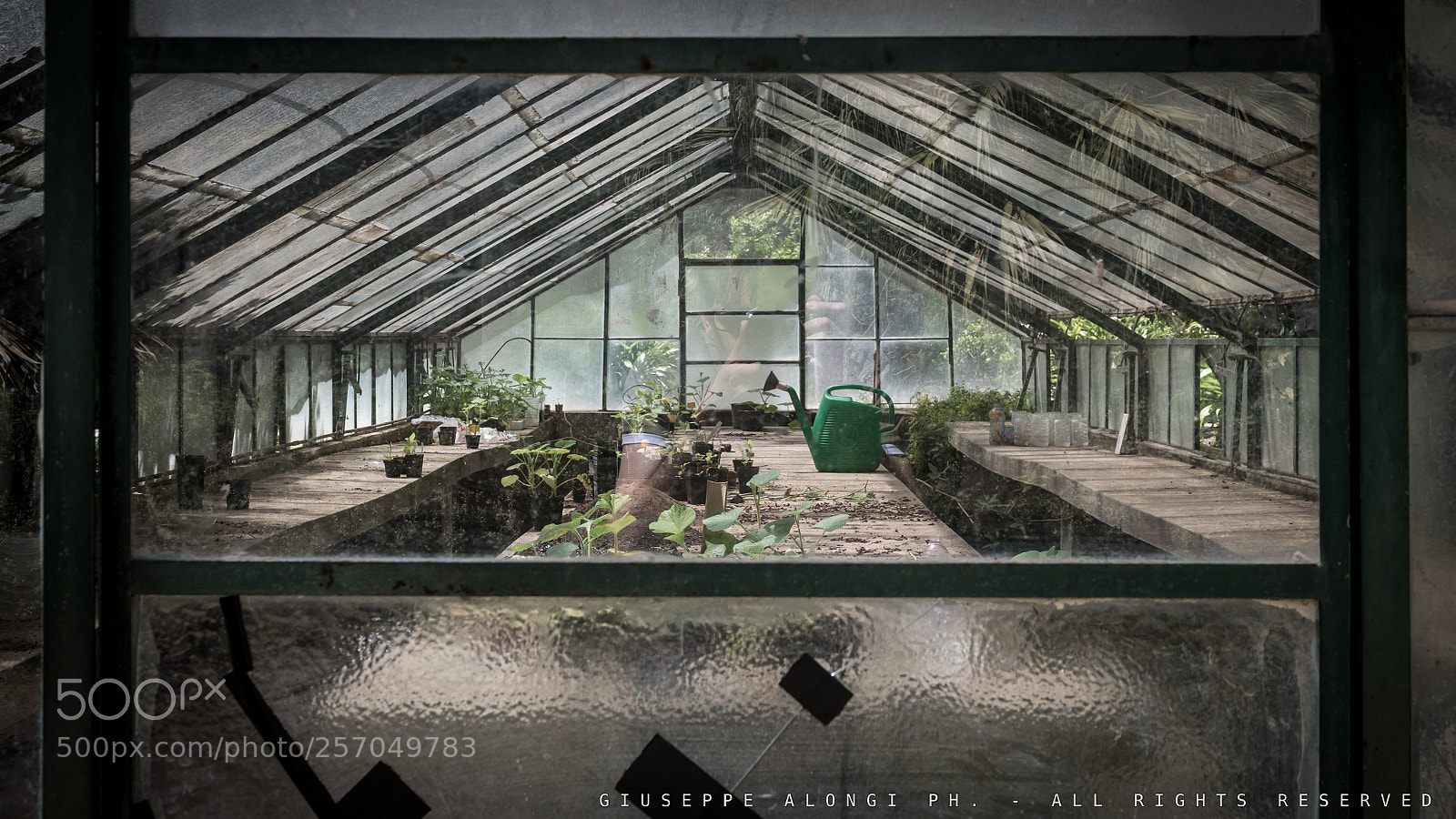 Pentax K-30 sample photo. Abandoned greenhouse photography