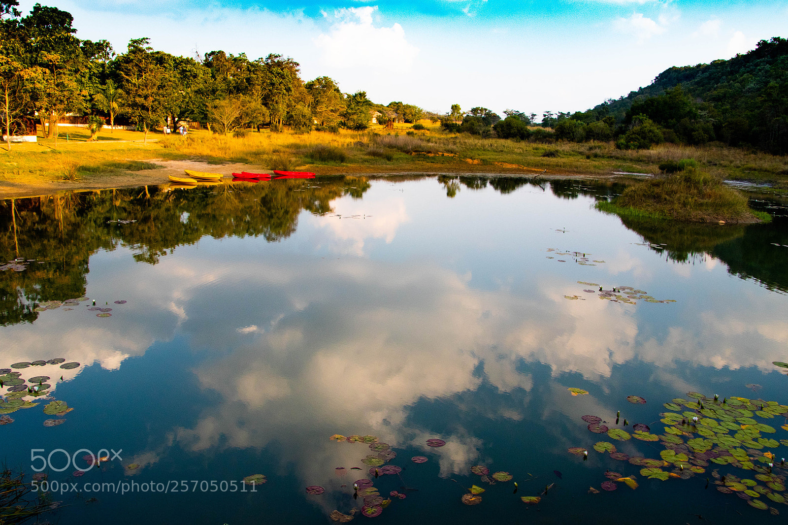 Canon EOS 7D Mark II sample photo. Reflection photography