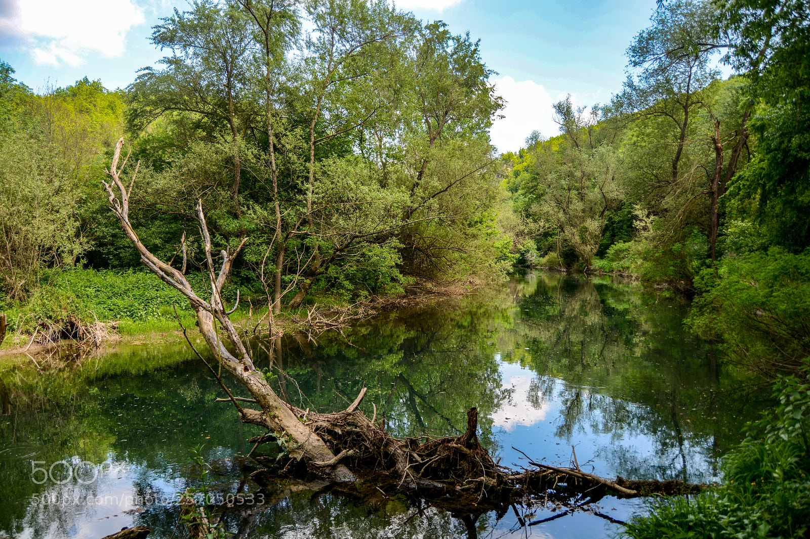 Nikon D7100 sample photo. Beautiful bulgarian nature photography
