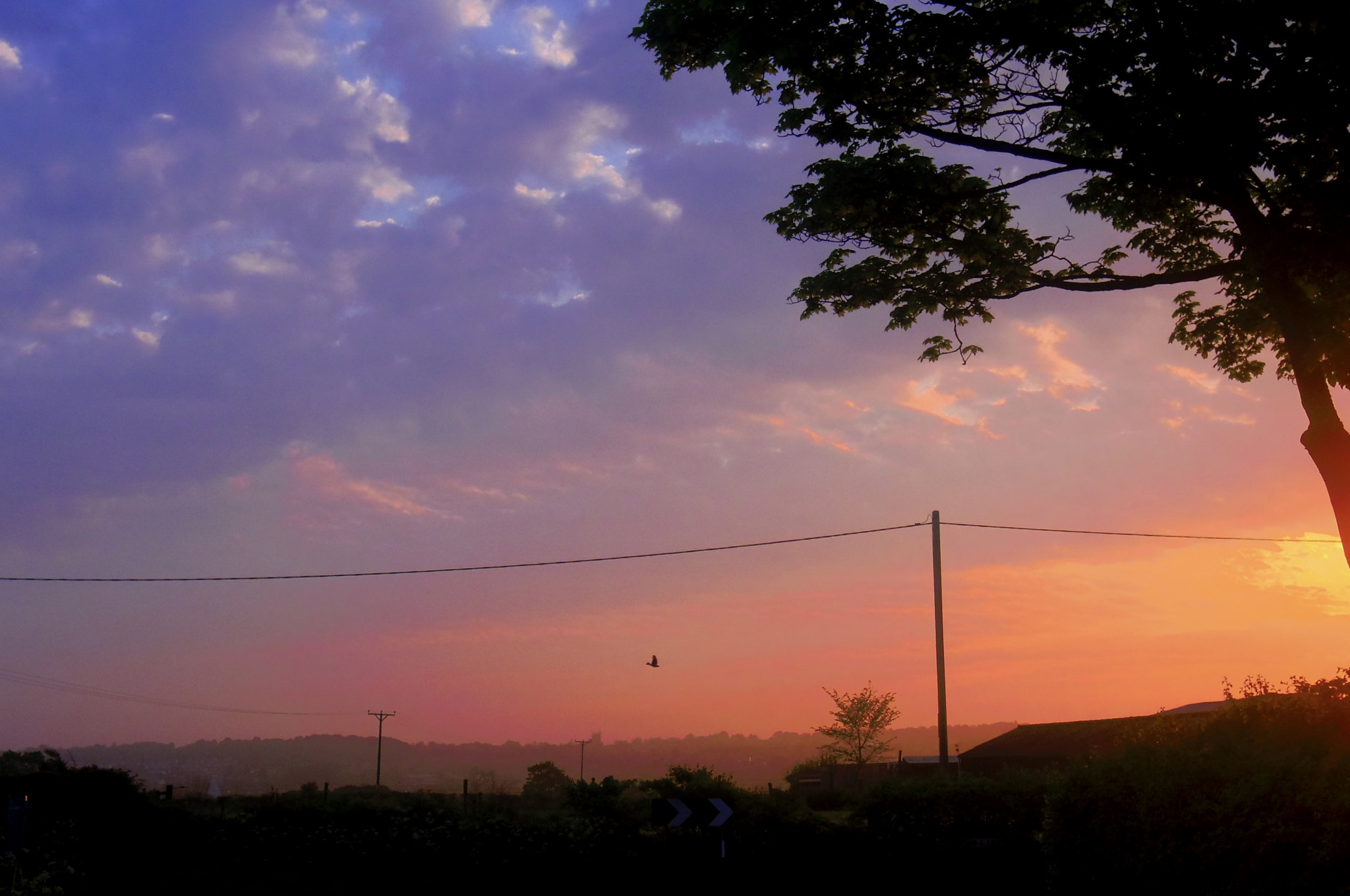 Pentax Q sample photo. Taking the early flight. photography