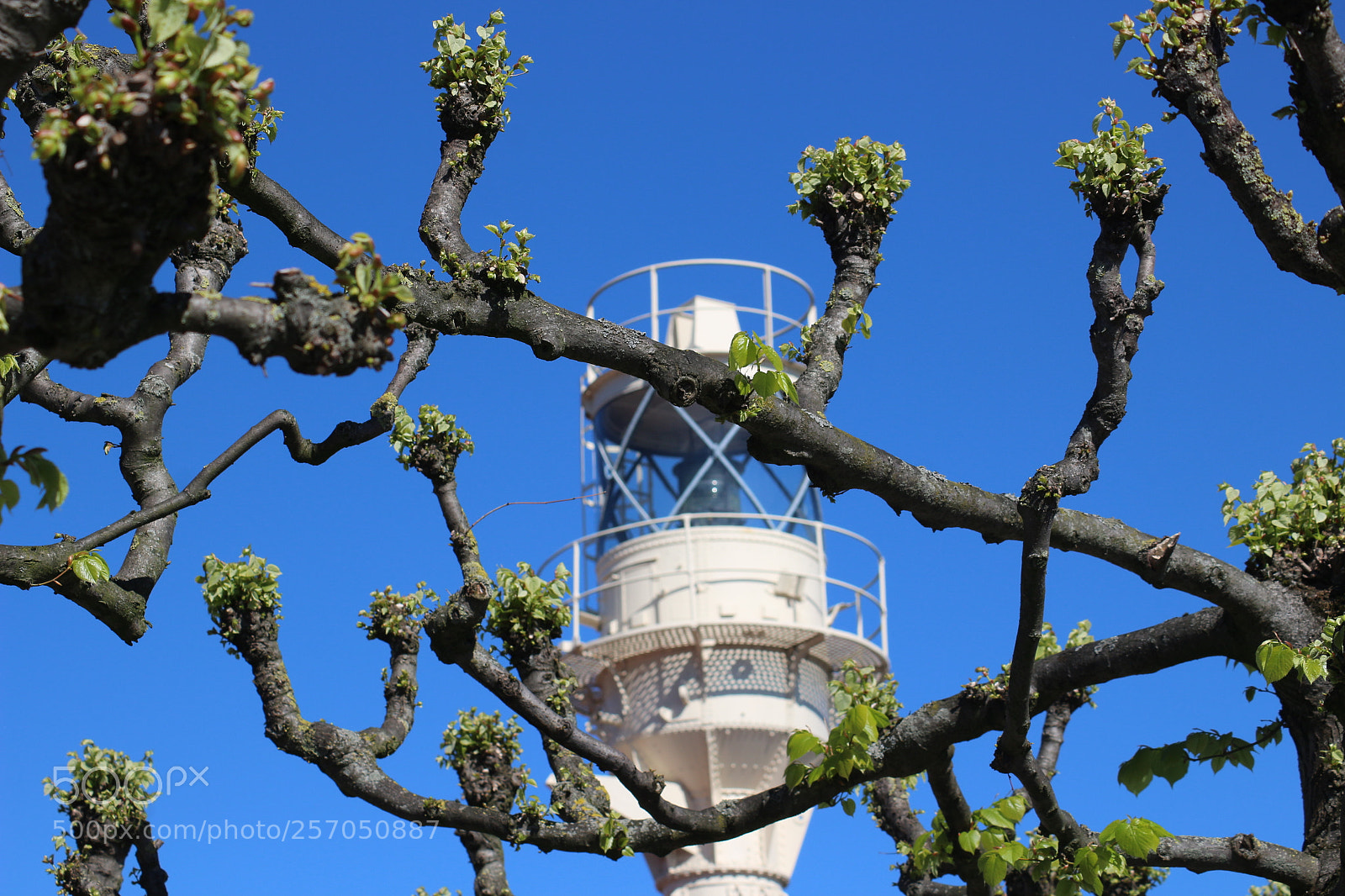 Canon EOS 100D (EOS Rebel SL1 / EOS Kiss X7) sample photo. Spring in harbour photography