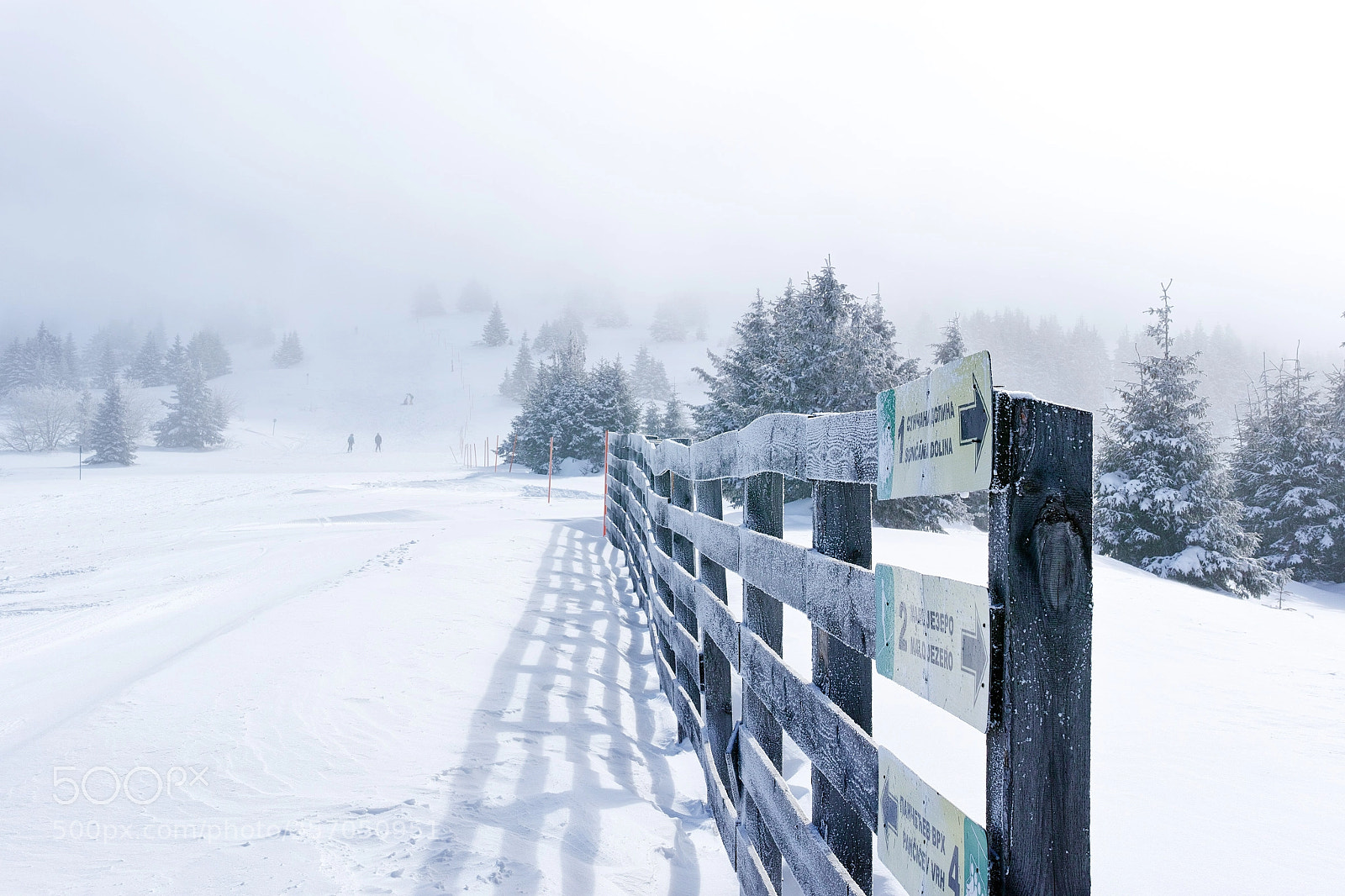 Sigma dp2 Quattro sample photo. Kopaonik sa malo sunca photography