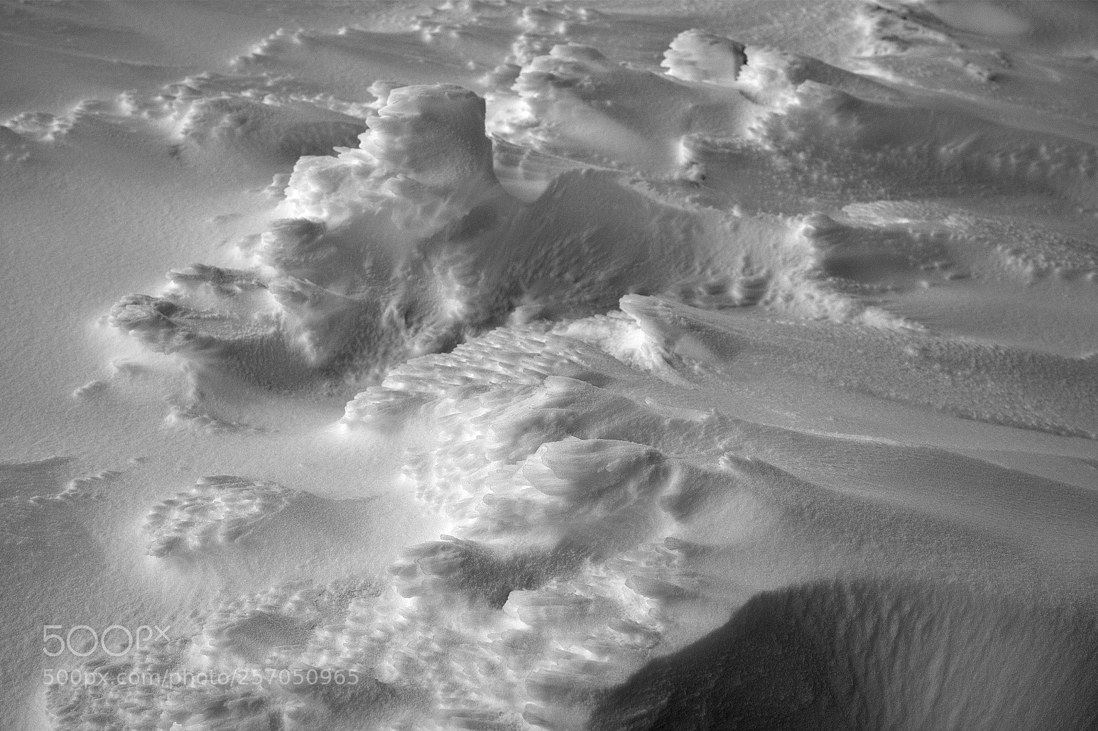 Sigma dp2 Quattro sample photo. Snow and wind photography