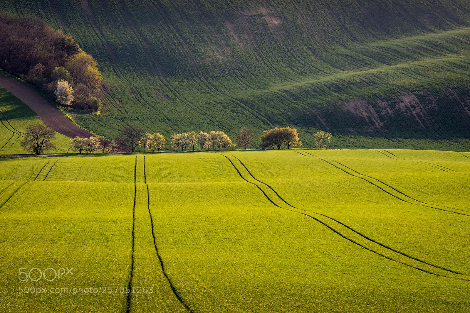 Canon EOS 6D Mark II sample photo. Good evening moravia photography