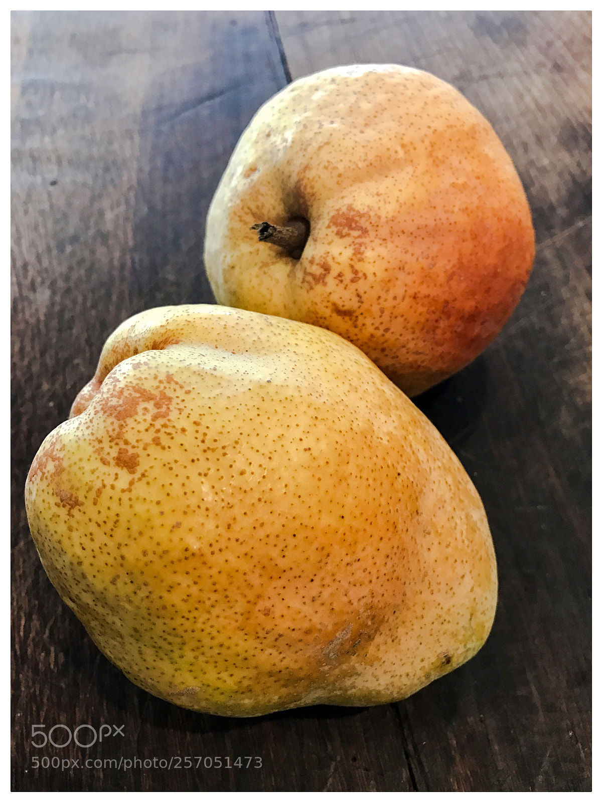 Apple iPhone 7 Plus sample photo. Pears photography