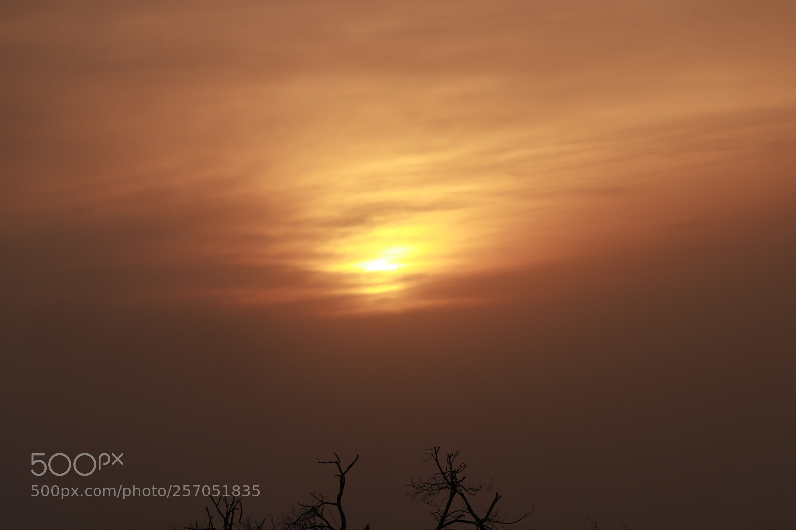 Canon EOS 80D sample photo. Untitled photography