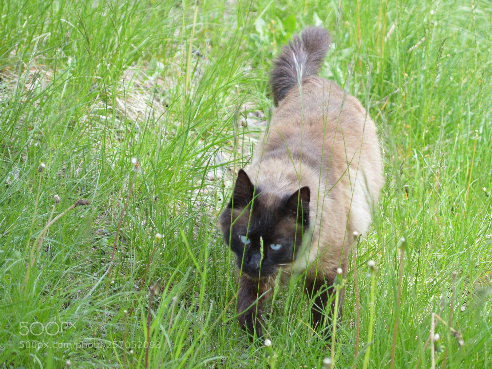 Nikon D3200 sample photo. Untitled photography
