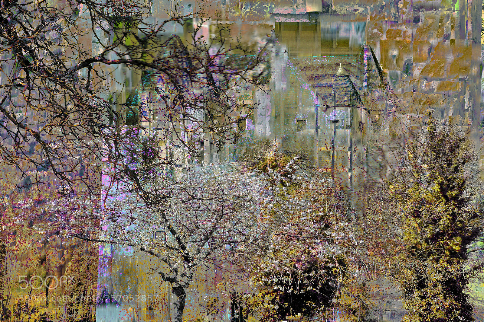 Nikon D300 sample photo. Springtime blooming in normandy photography