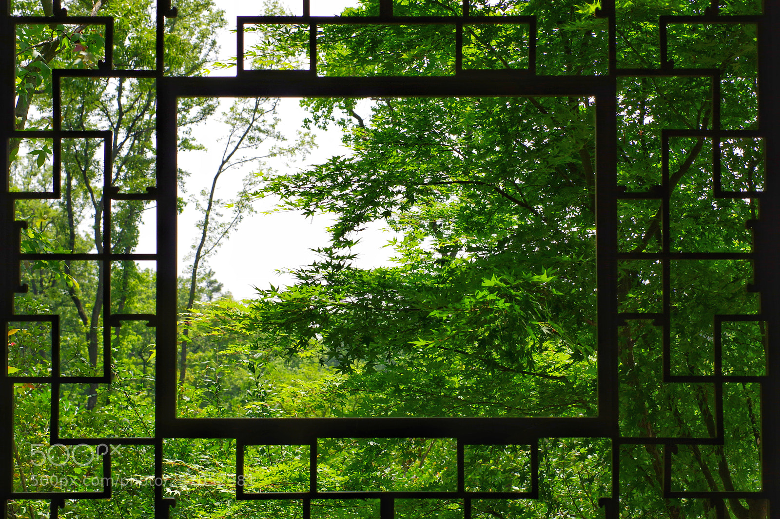 Pentax K-3 II sample photo. Untitled photography