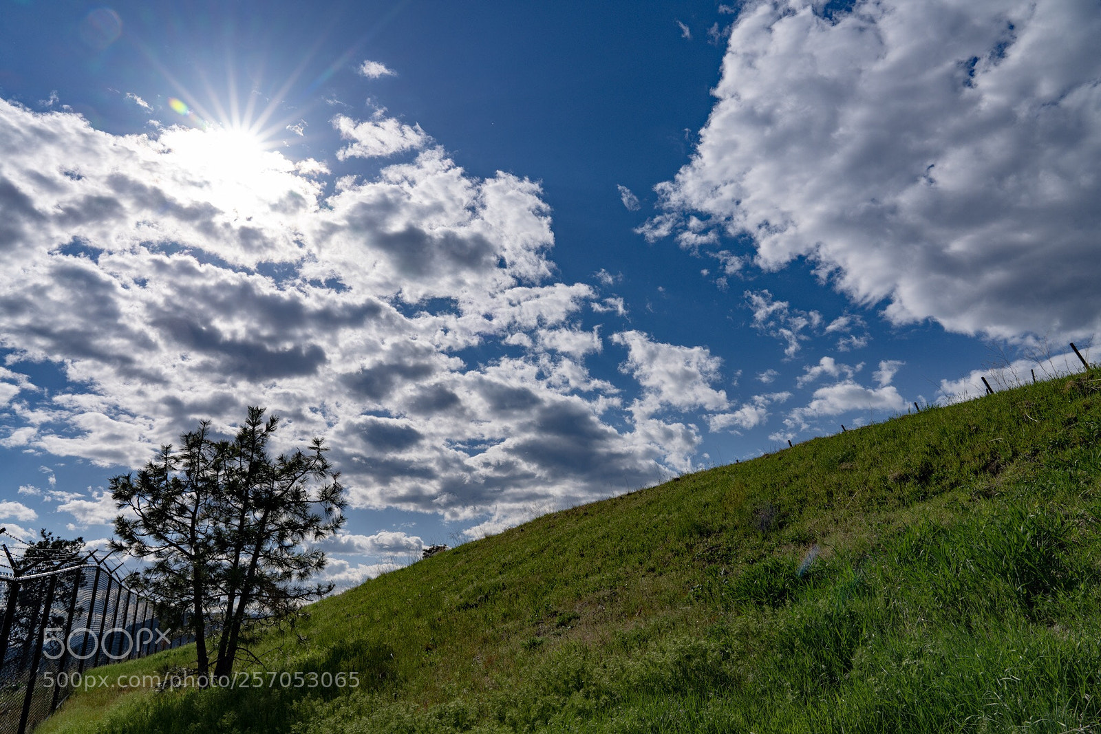 Sony a7R III sample photo. Sunny day photography