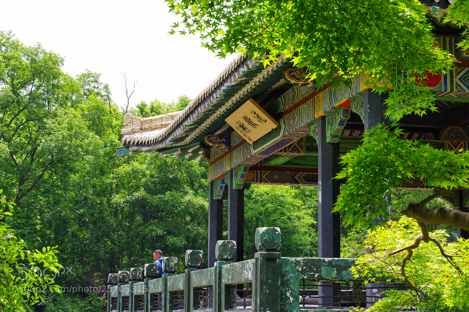 Pentax K-3 II sample photo. Untitled photography