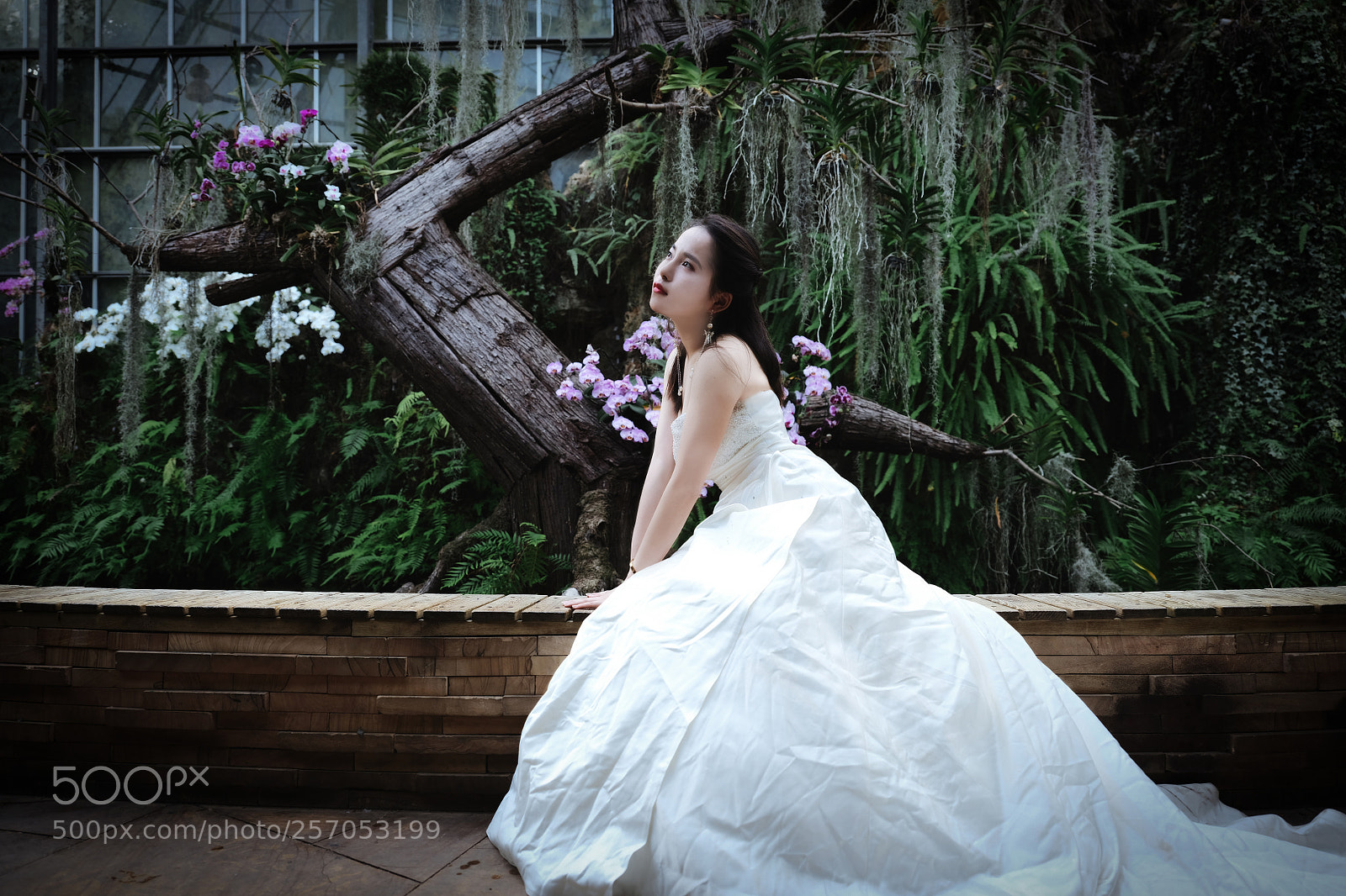 Fujifilm GFX 50S sample photo. Untitled photography