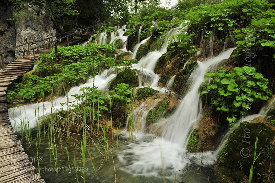Nikon D700 sample photo. Plitvice lakes details 1 photography