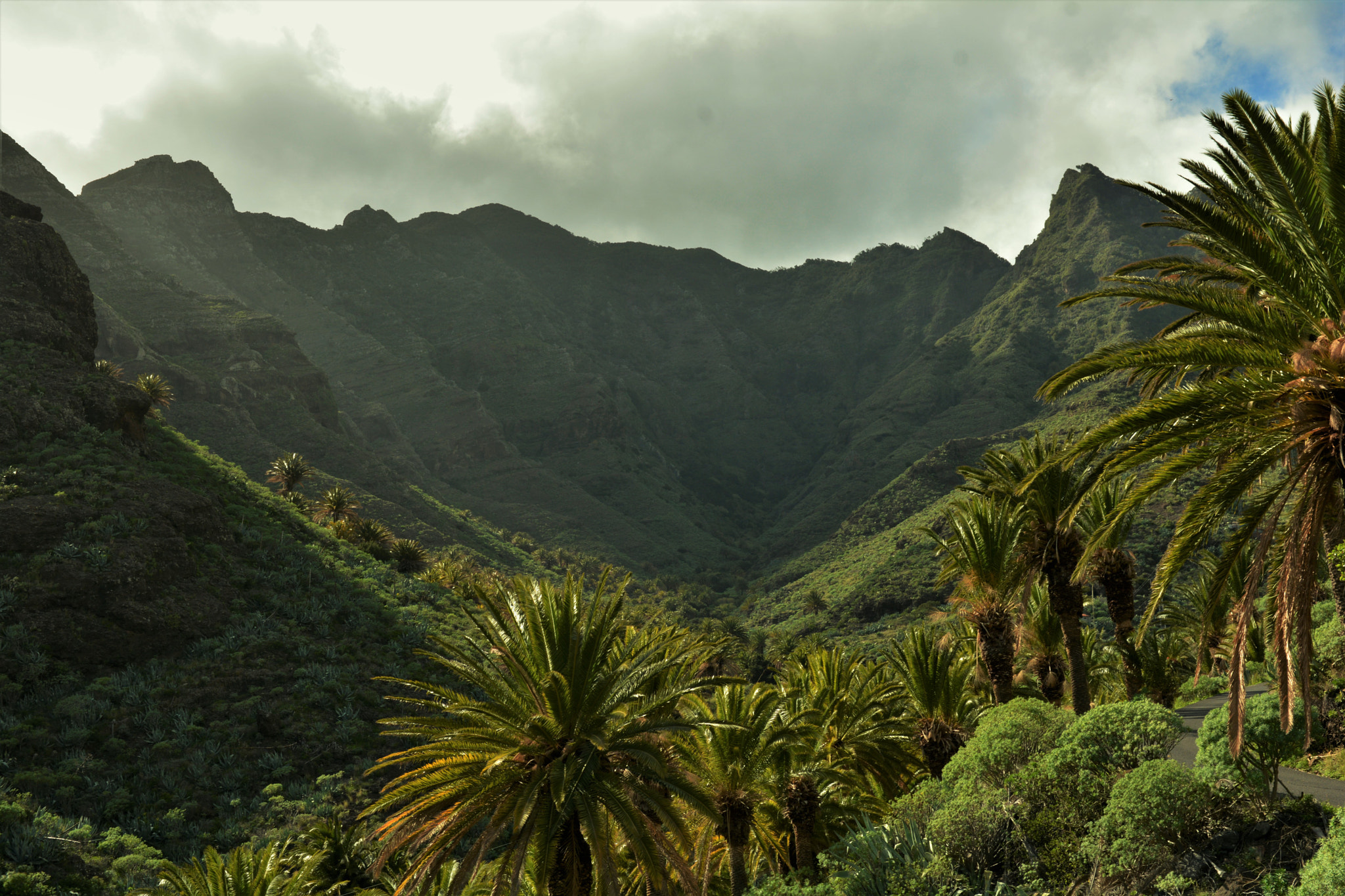 Nikon D7100 sample photo. La gomera photography