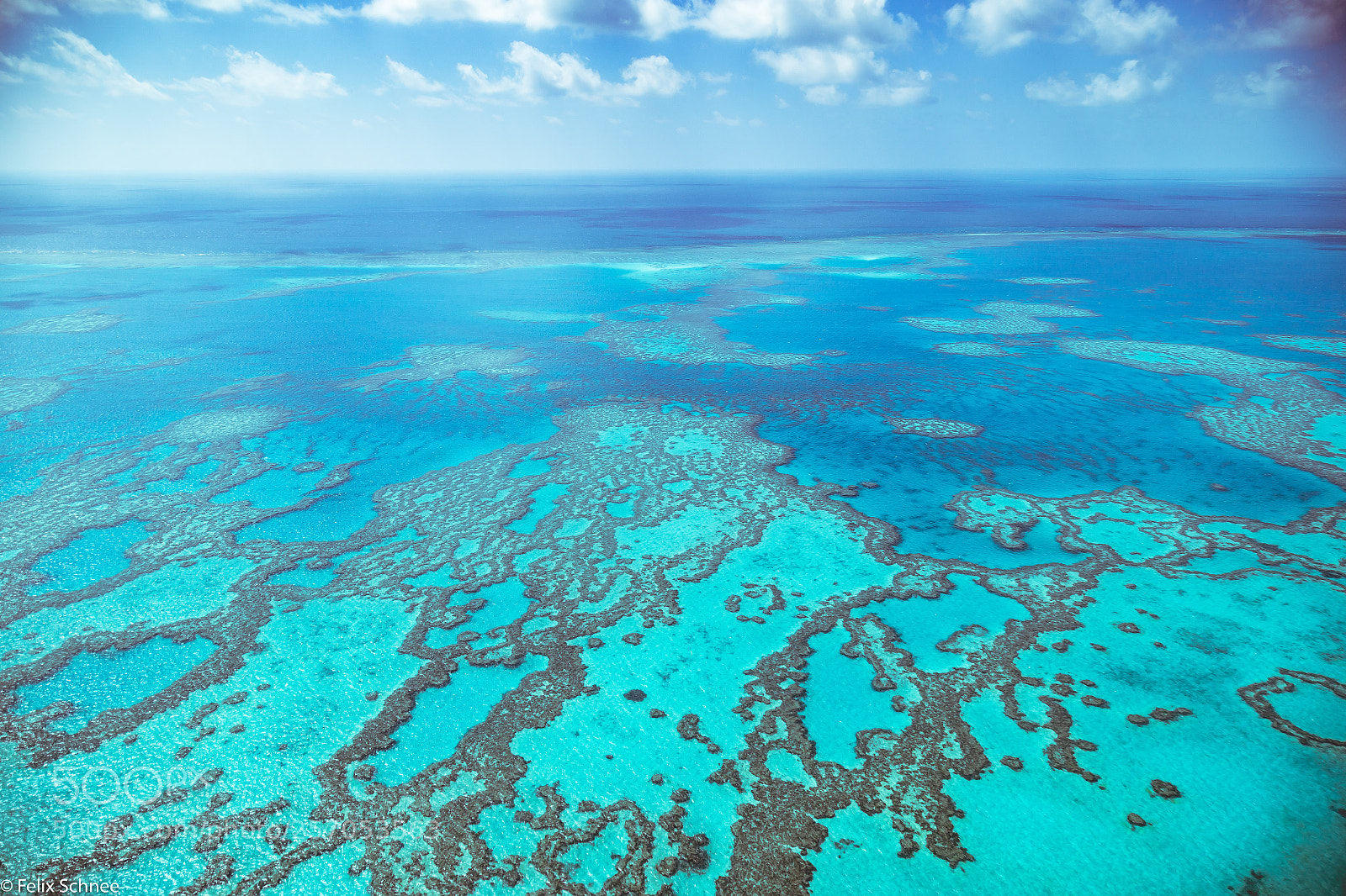 Canon EOS 6D sample photo. Great barrier reef photography