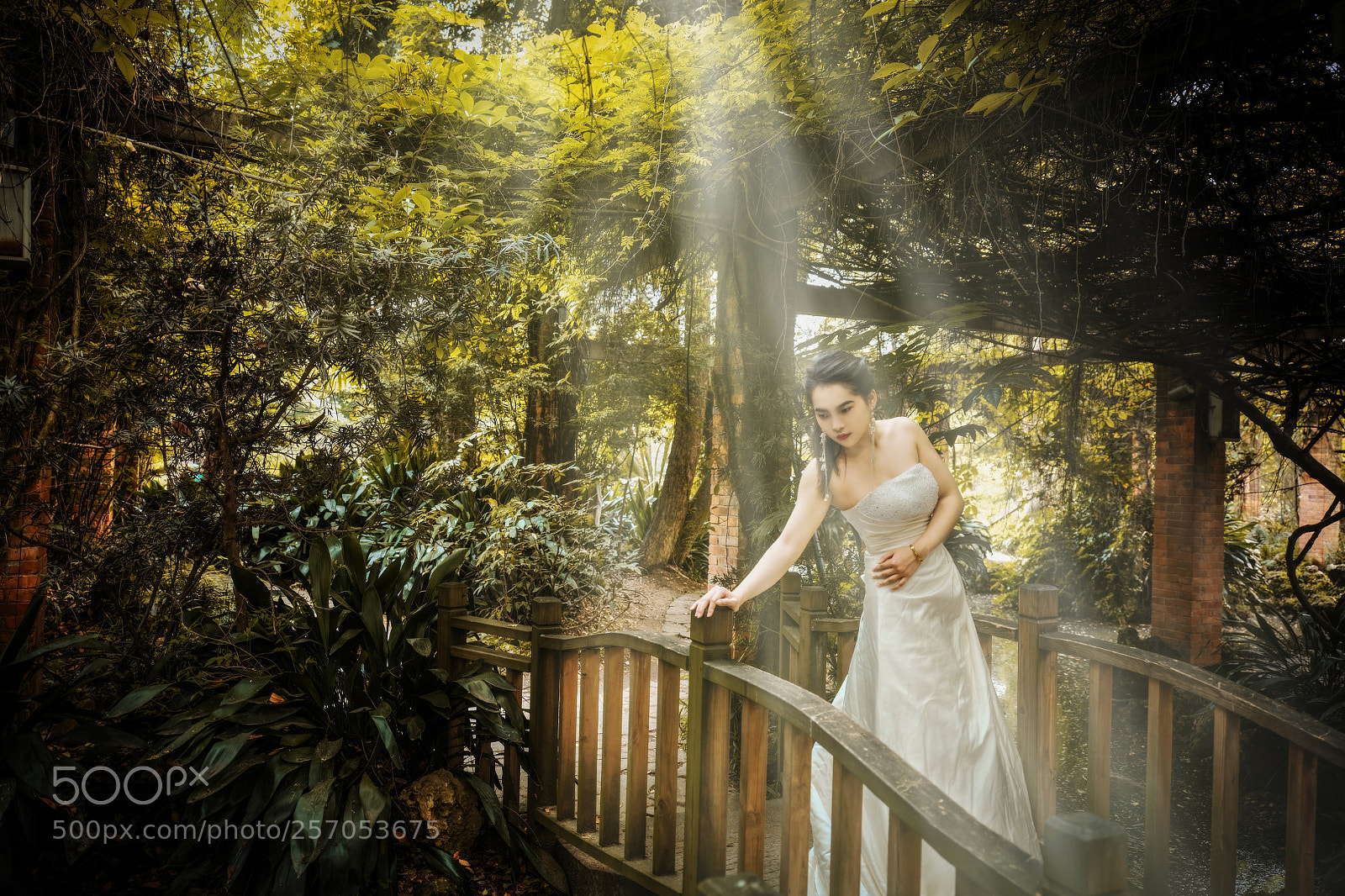 Fujifilm GFX 50S sample photo. Untitled photography