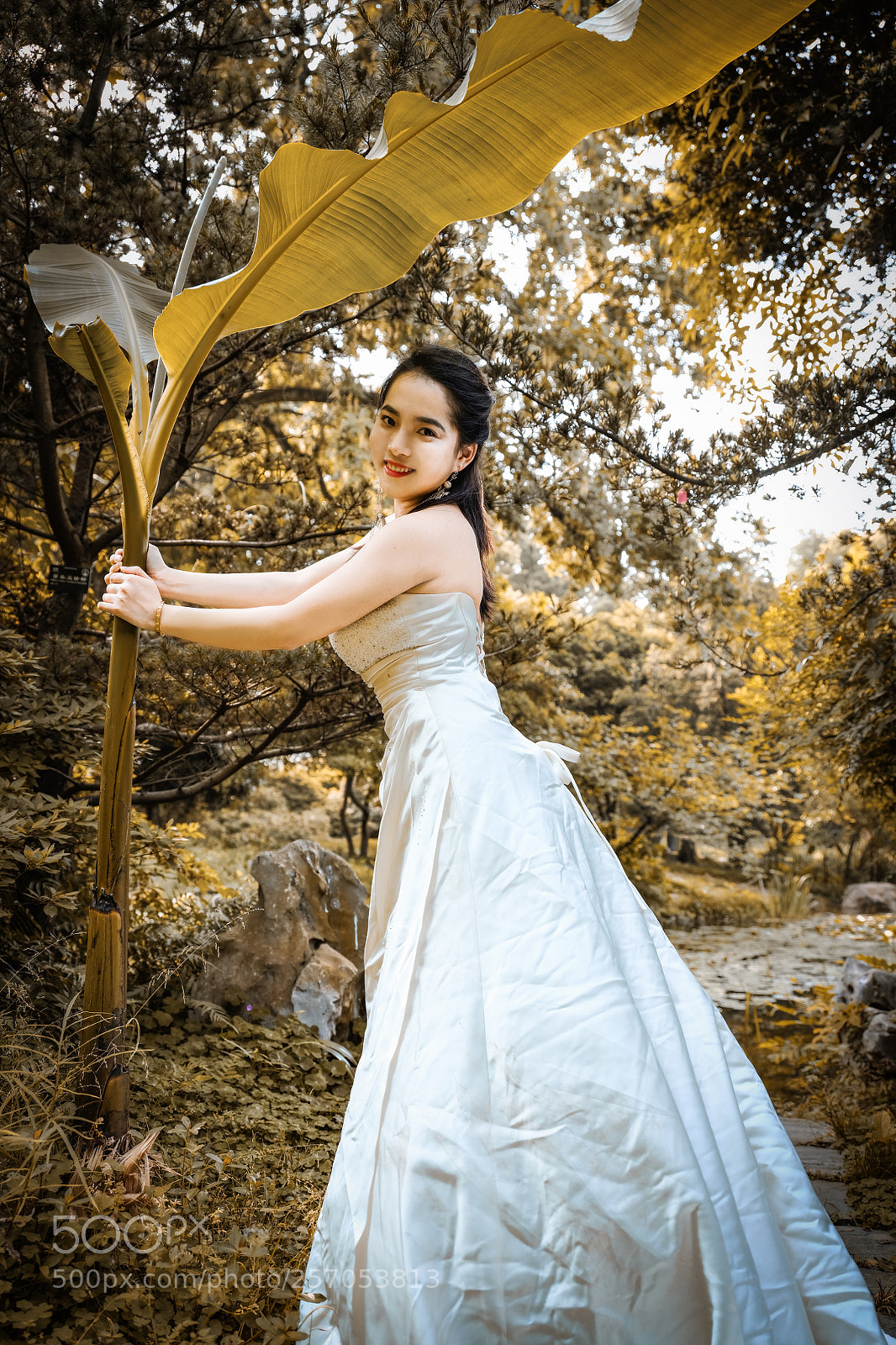 Fujifilm GFX 50S sample photo. Untitled photography