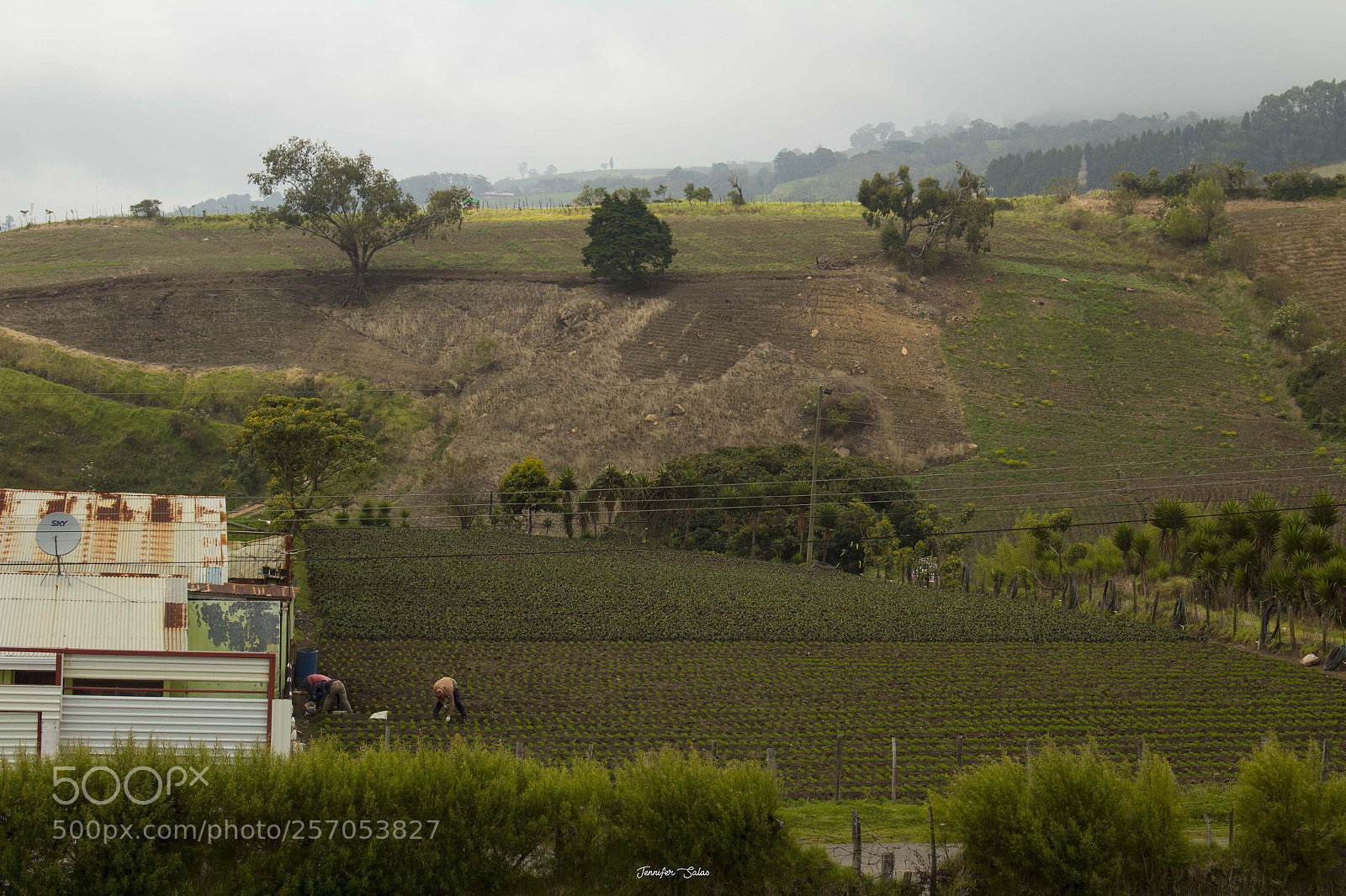 Canon EOS 1300D (EOS Rebel T6 / EOS Kiss X80) sample photo. Campo de trabajadores photography