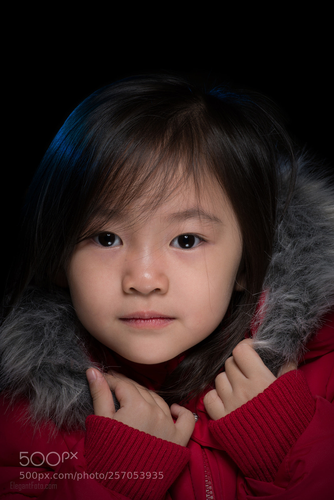 Nikon D610 sample photo. Winter coming photography