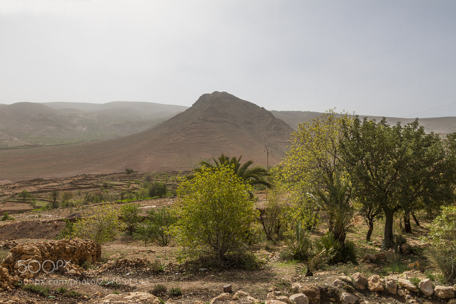 Canon EOS 7D sample photo. 2018-3888.jpg photography