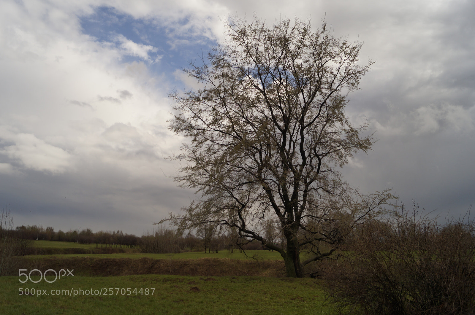 Sony SLT-A57 sample photo. Untitled photography