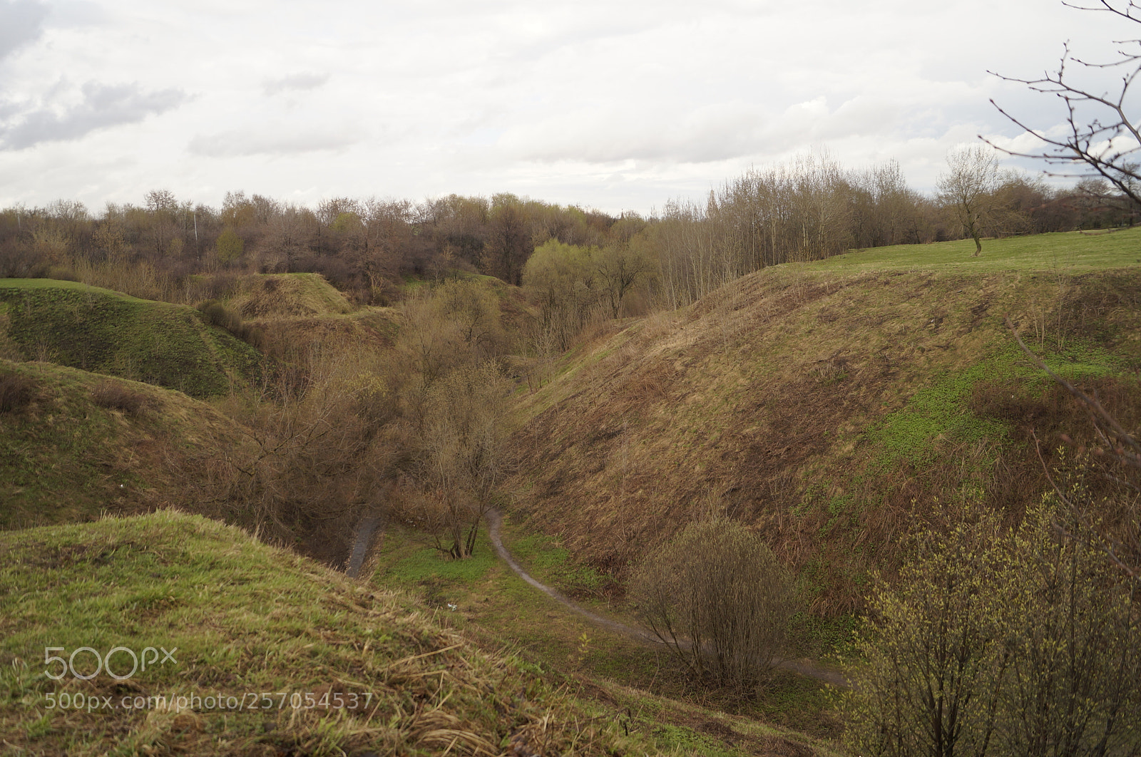 Sony SLT-A57 sample photo. Untitled photography