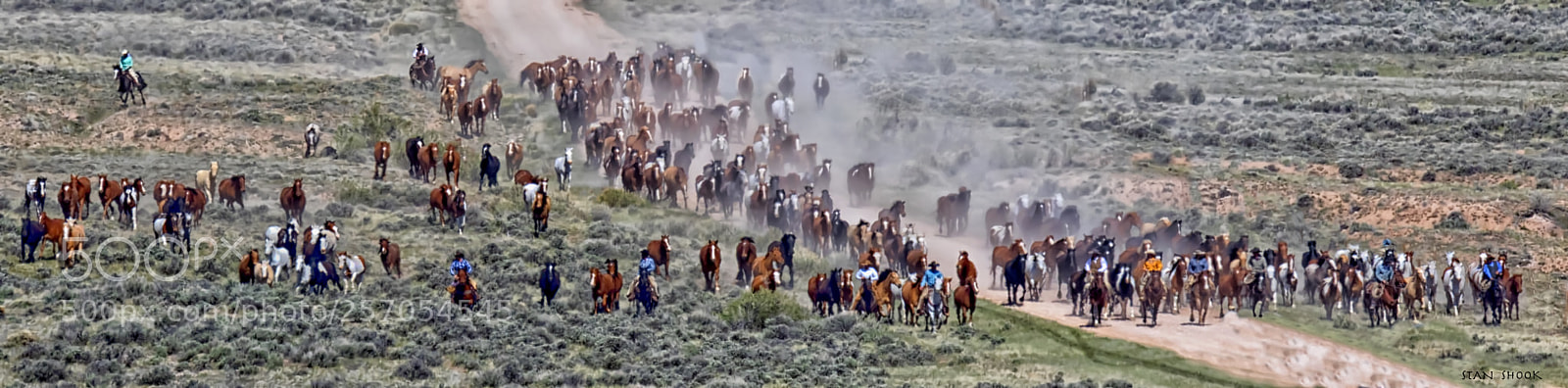Canon EOS 7D Mark II sample photo. The great american horse photography