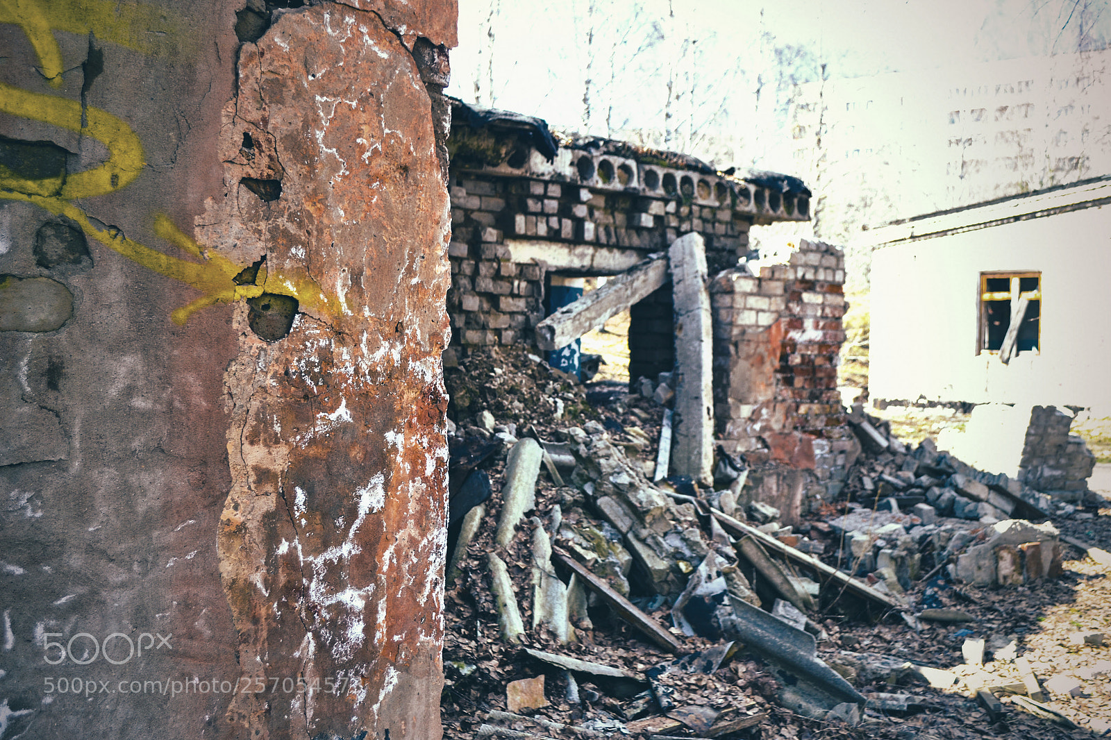 Nikon D3100 sample photo. Abandoned photography