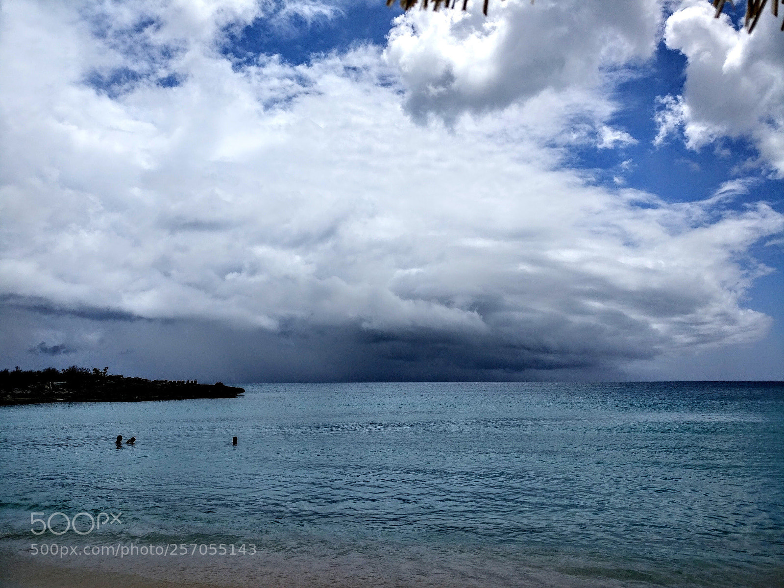 OnePlus A3003 sample photo. Tropical shower photography
