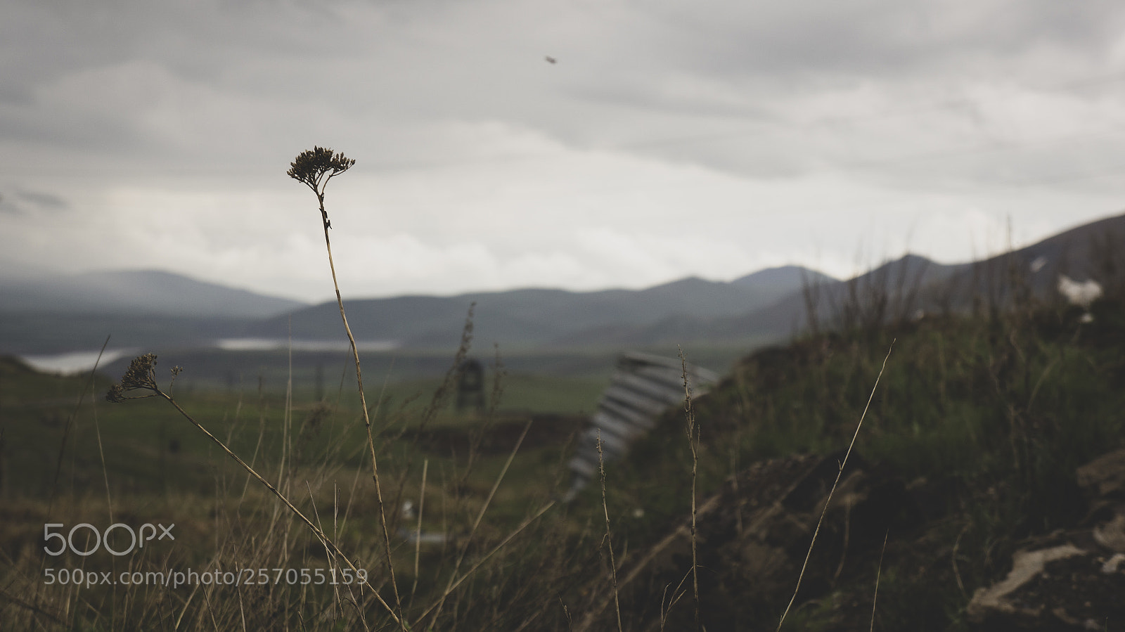 Sony Alpha NEX-5N sample photo. Untitled photography
